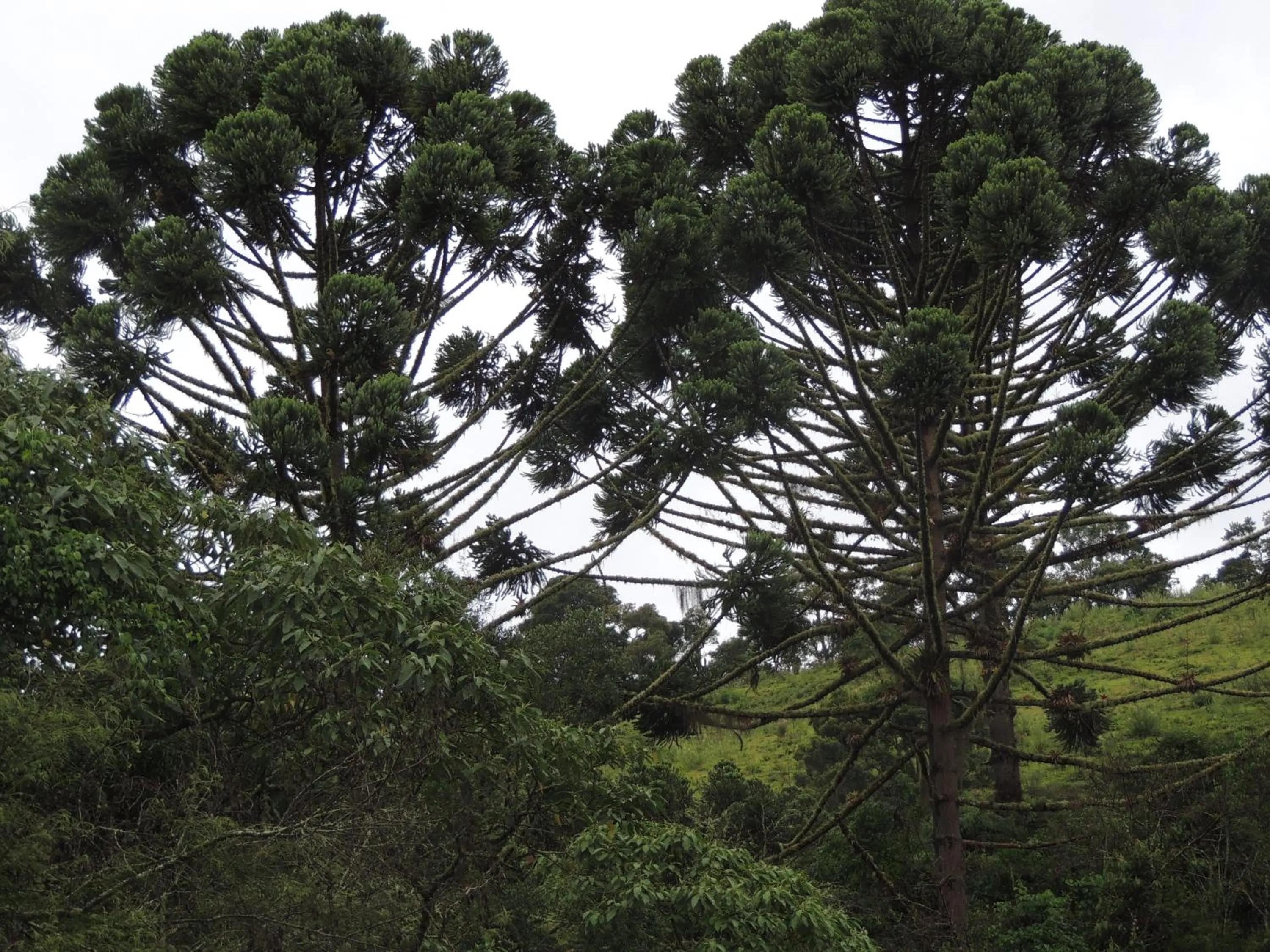 Mountain view in Tô na Roça