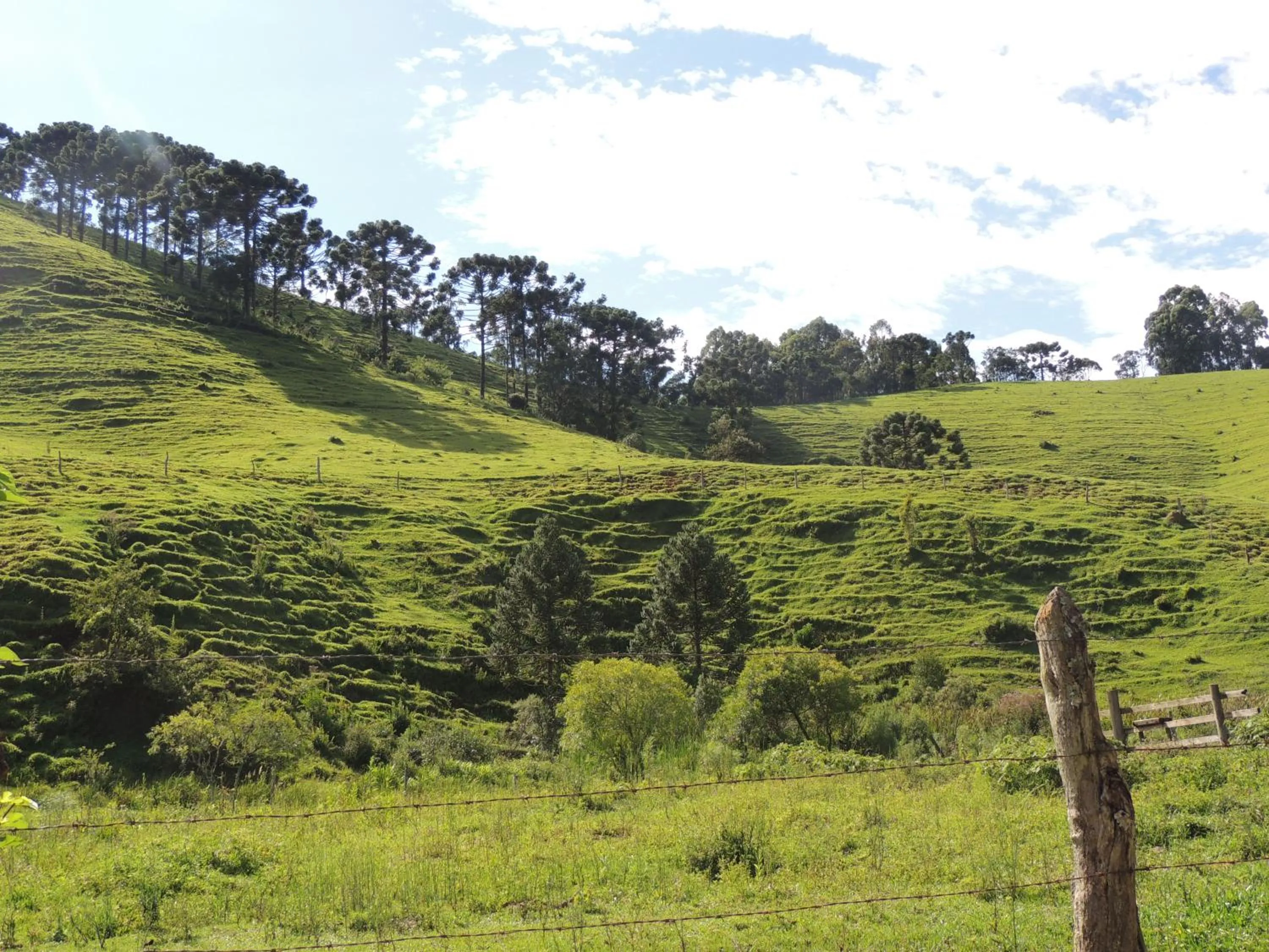View (from property/room) in Tô na Roça