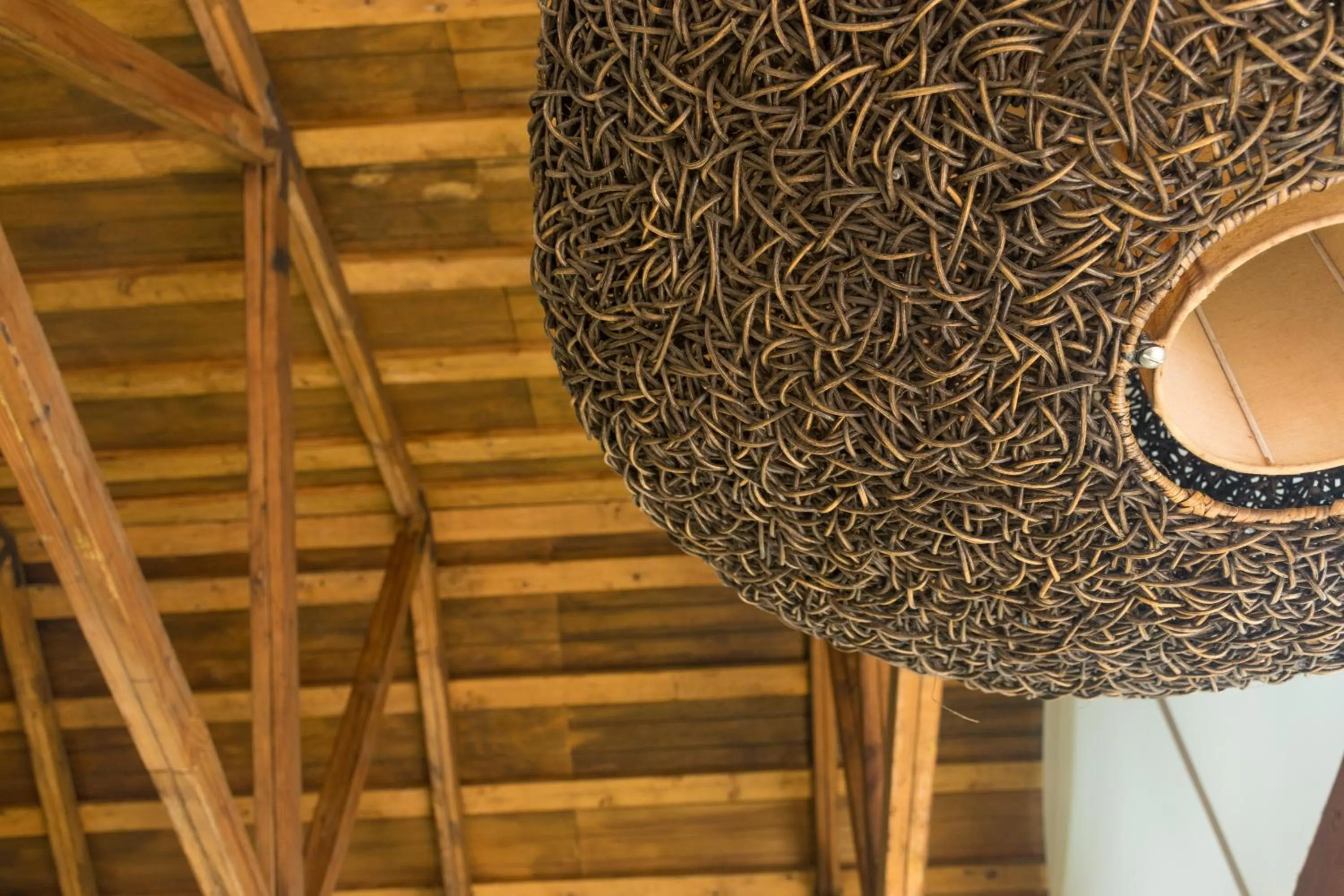 Restaurant/places to eat in Hotel Camino de Vinos