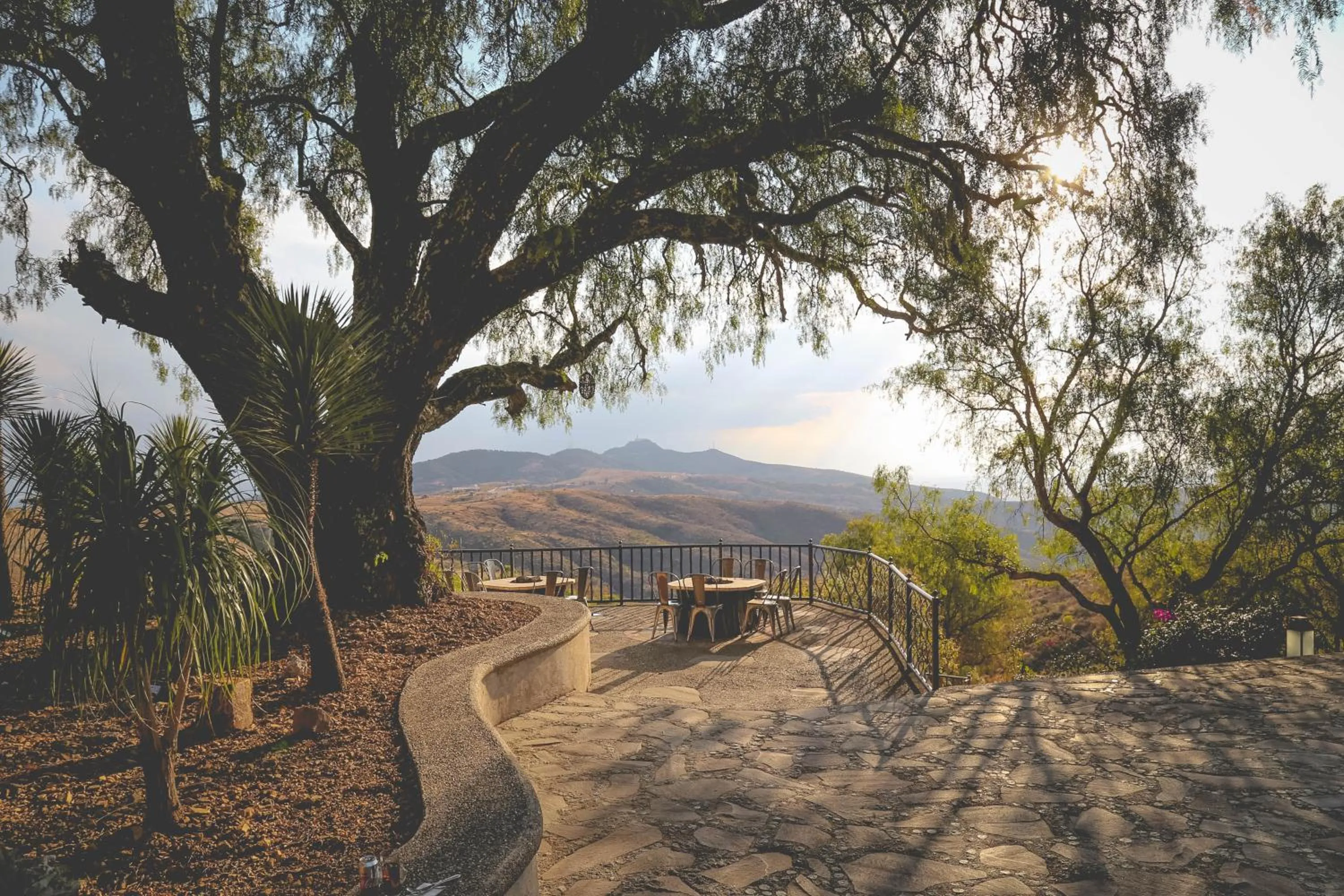 Balcony/Terrace in Hotel Camino de Vinos