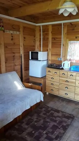 Shower, Bed in Wakacyjne domki