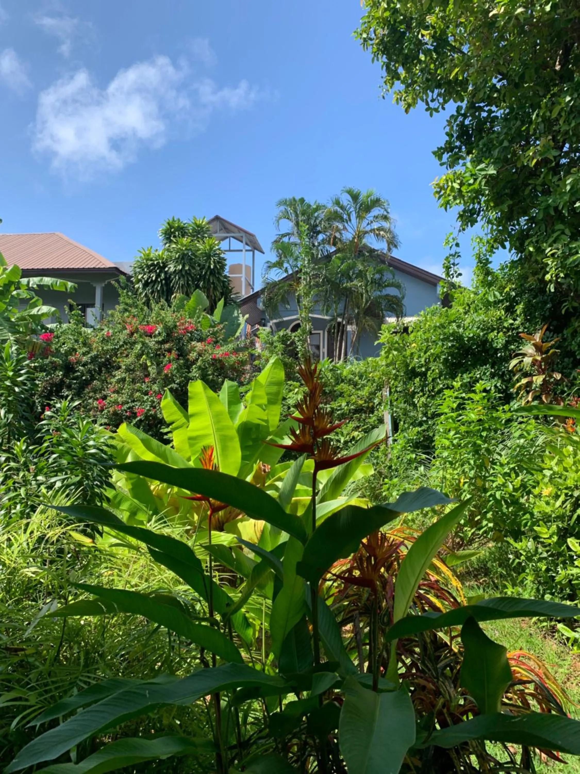 Fantasy Hill Bungalow