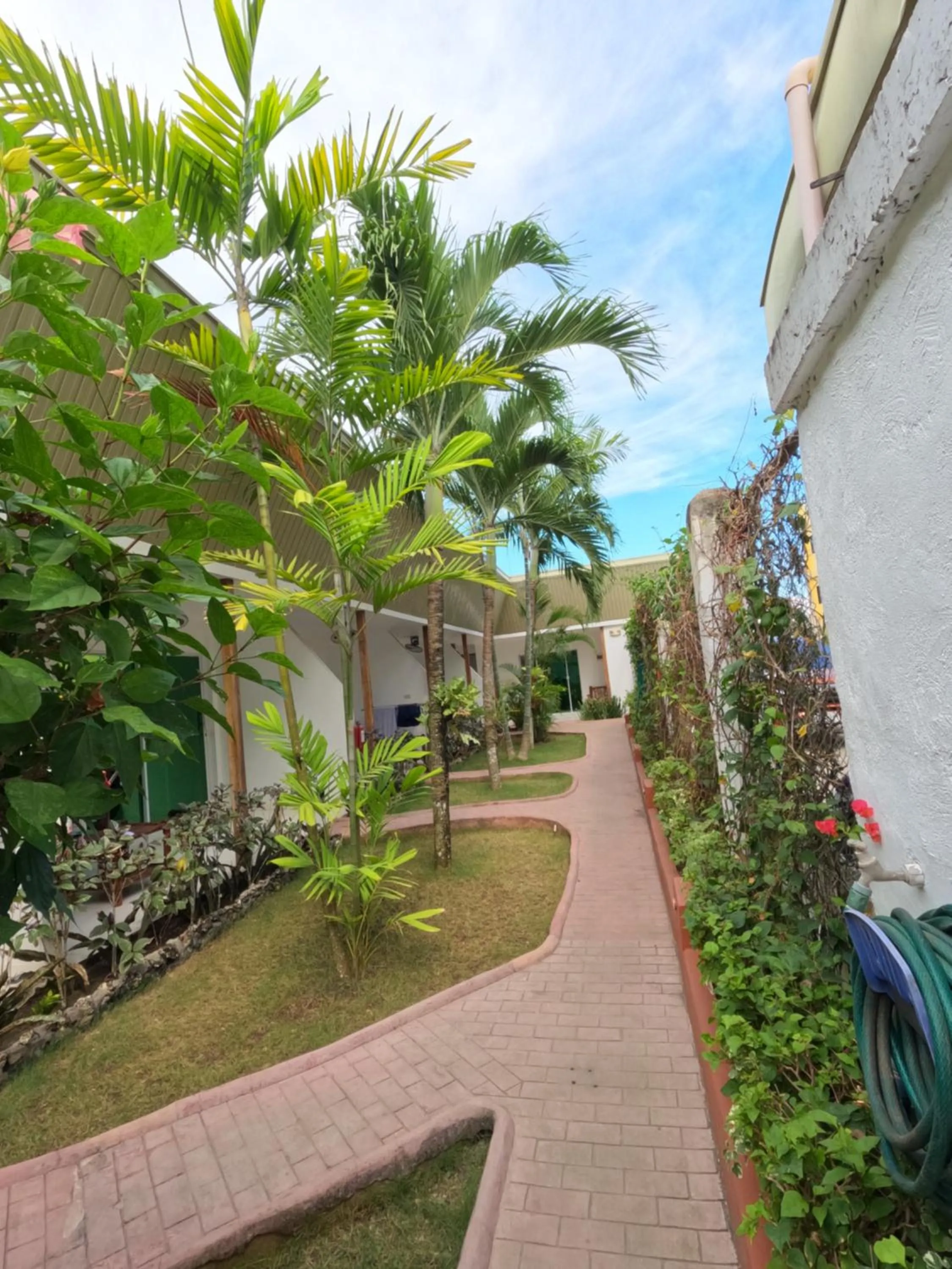 Garden in Alona Gecko Inn