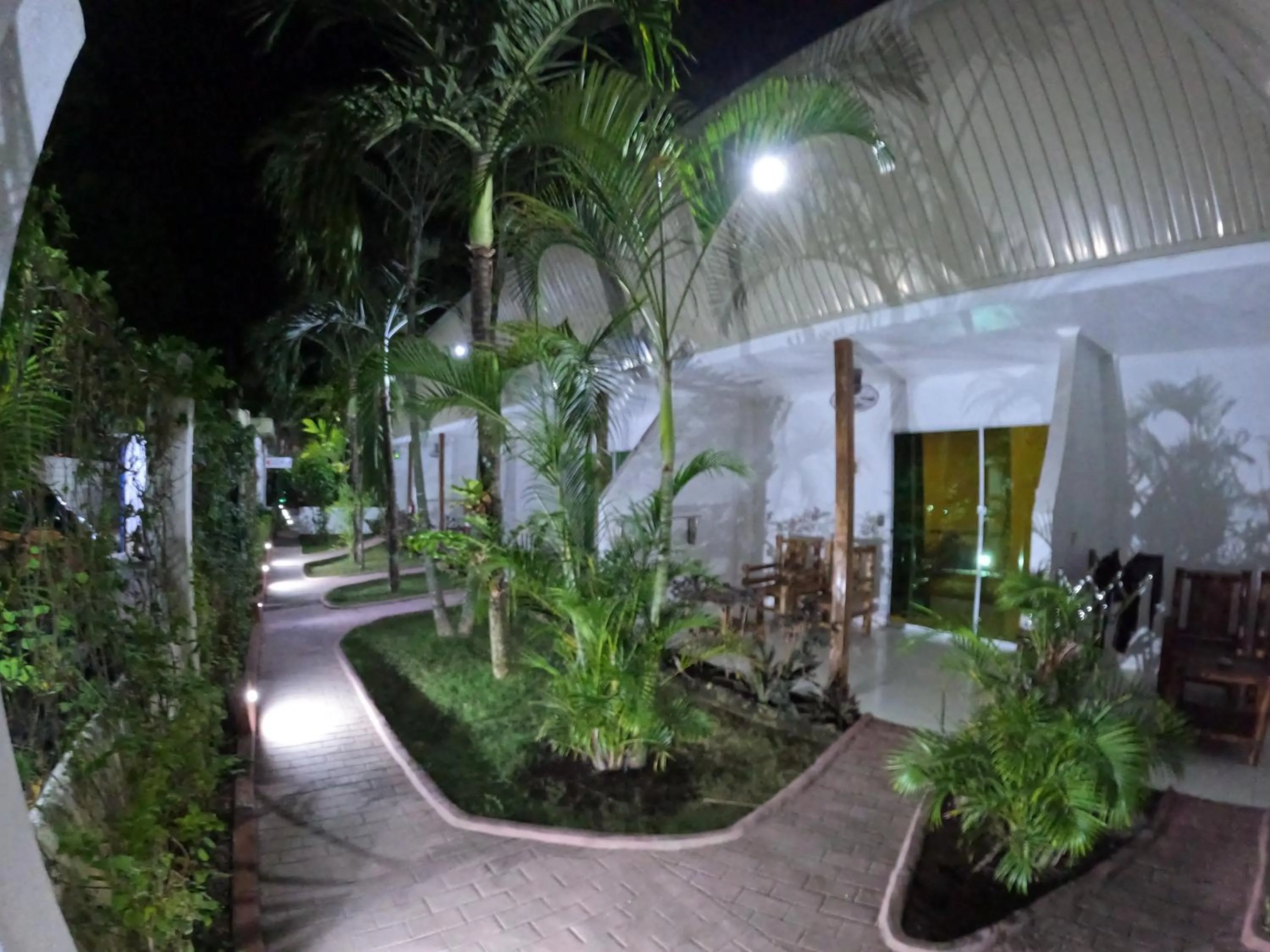 Garden in Alona Gecko Inn