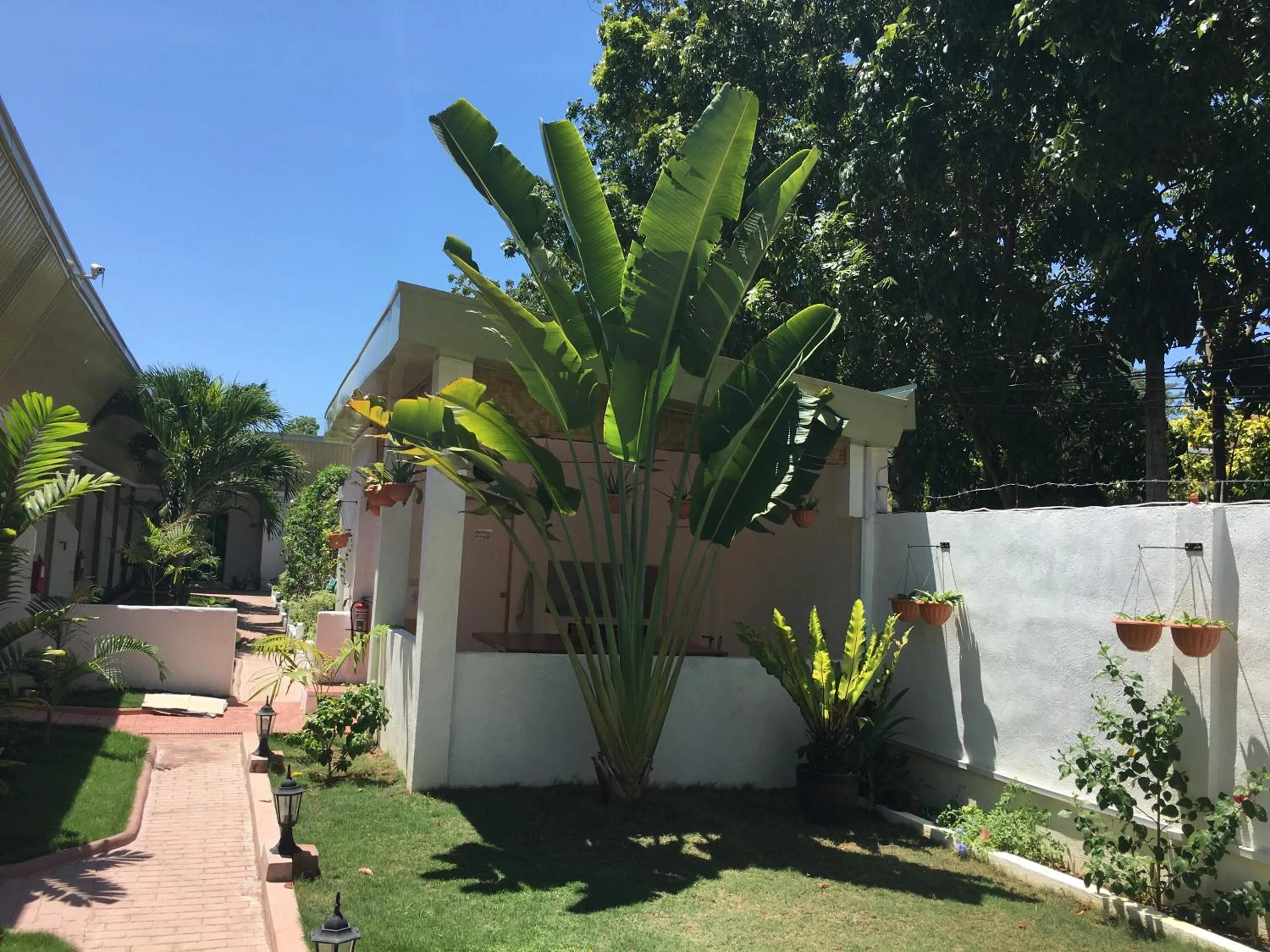 Property building in Alona Gecko Inn