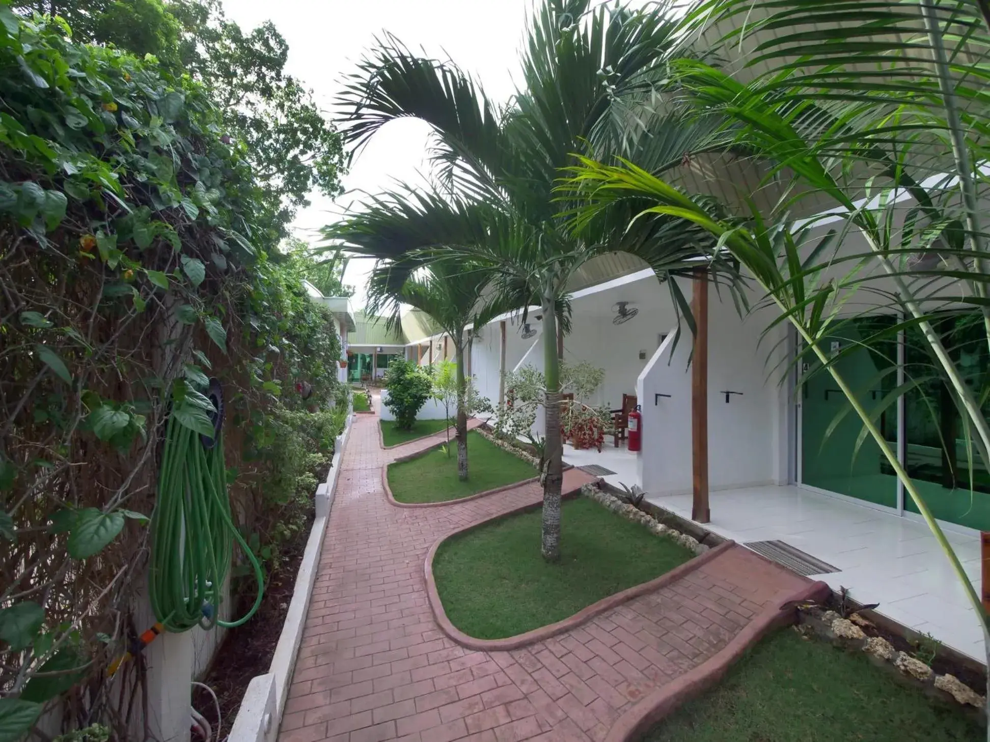 Property building in Alona Gecko Inn Property building in Alona Gecko Inn