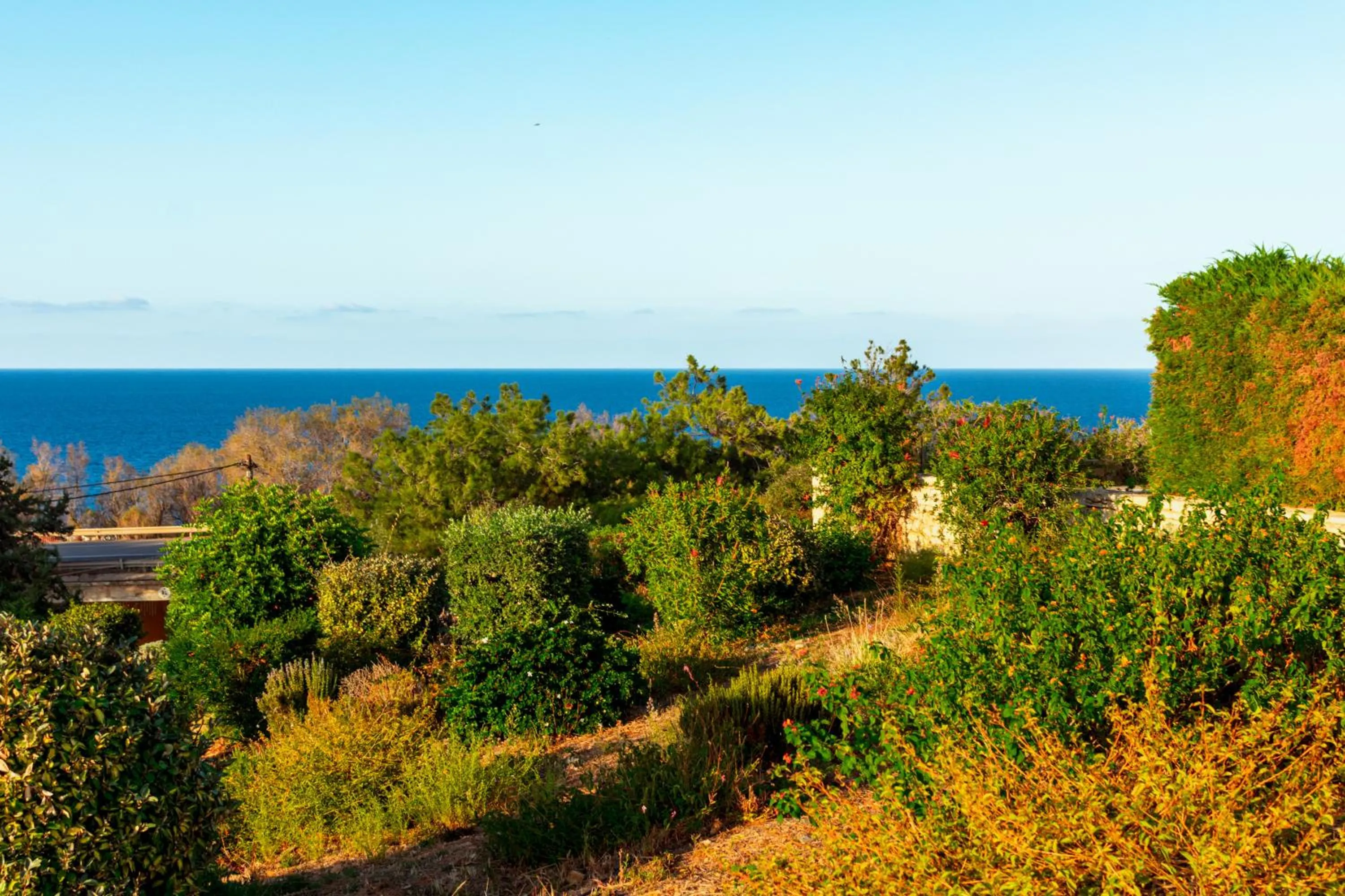Sofia Luxury Villas