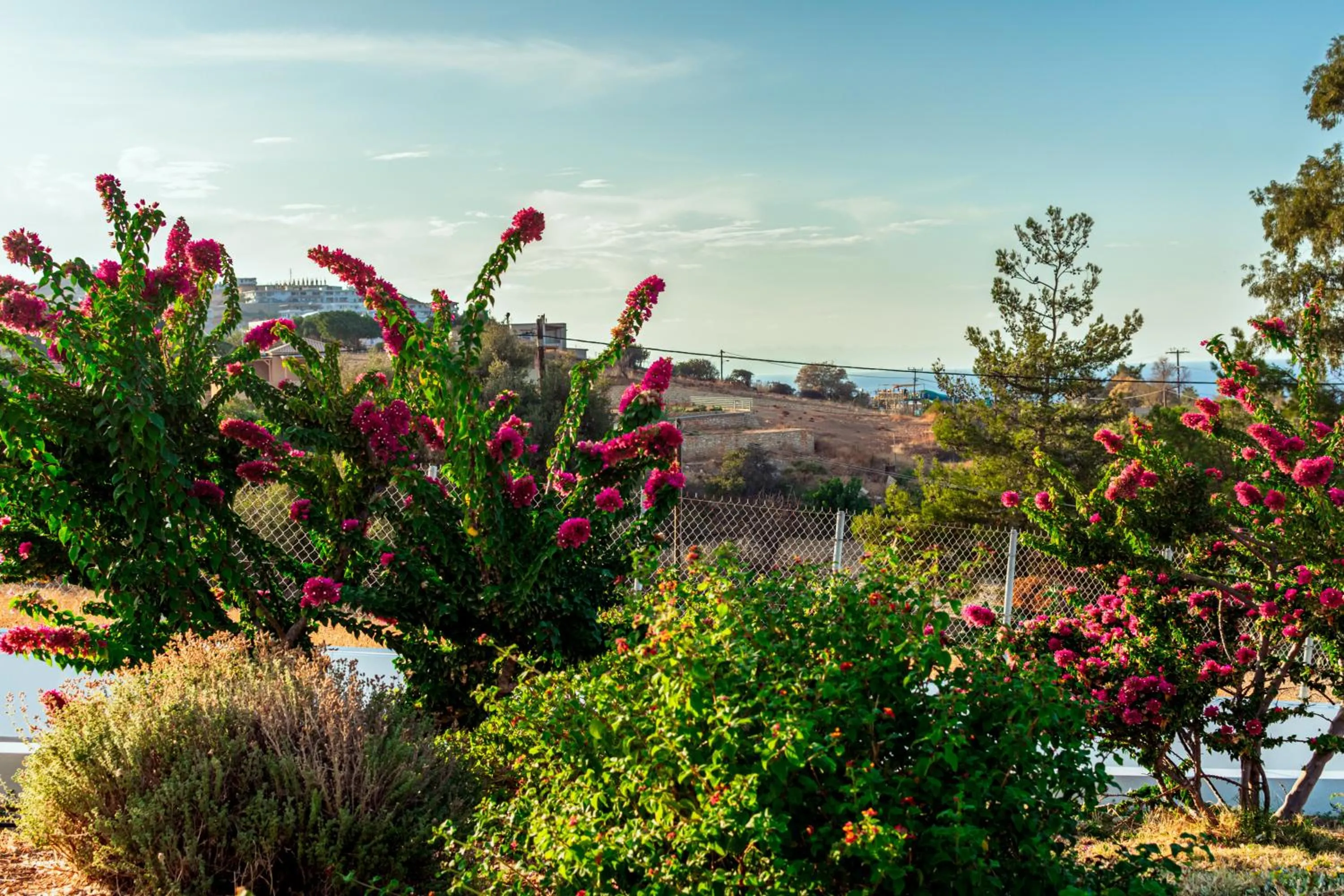 Sofia Luxury Villas