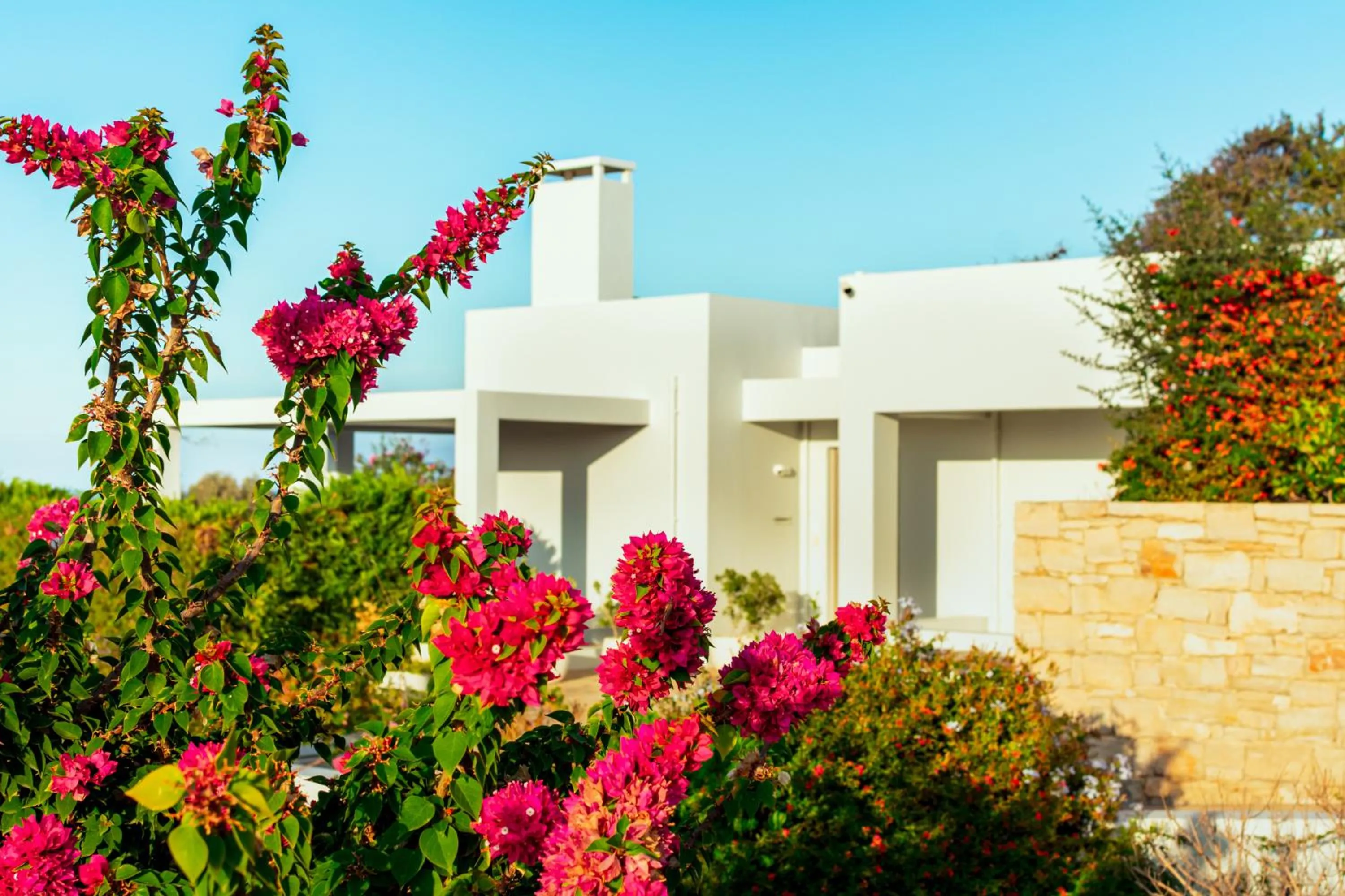 Sofia Luxury Villas