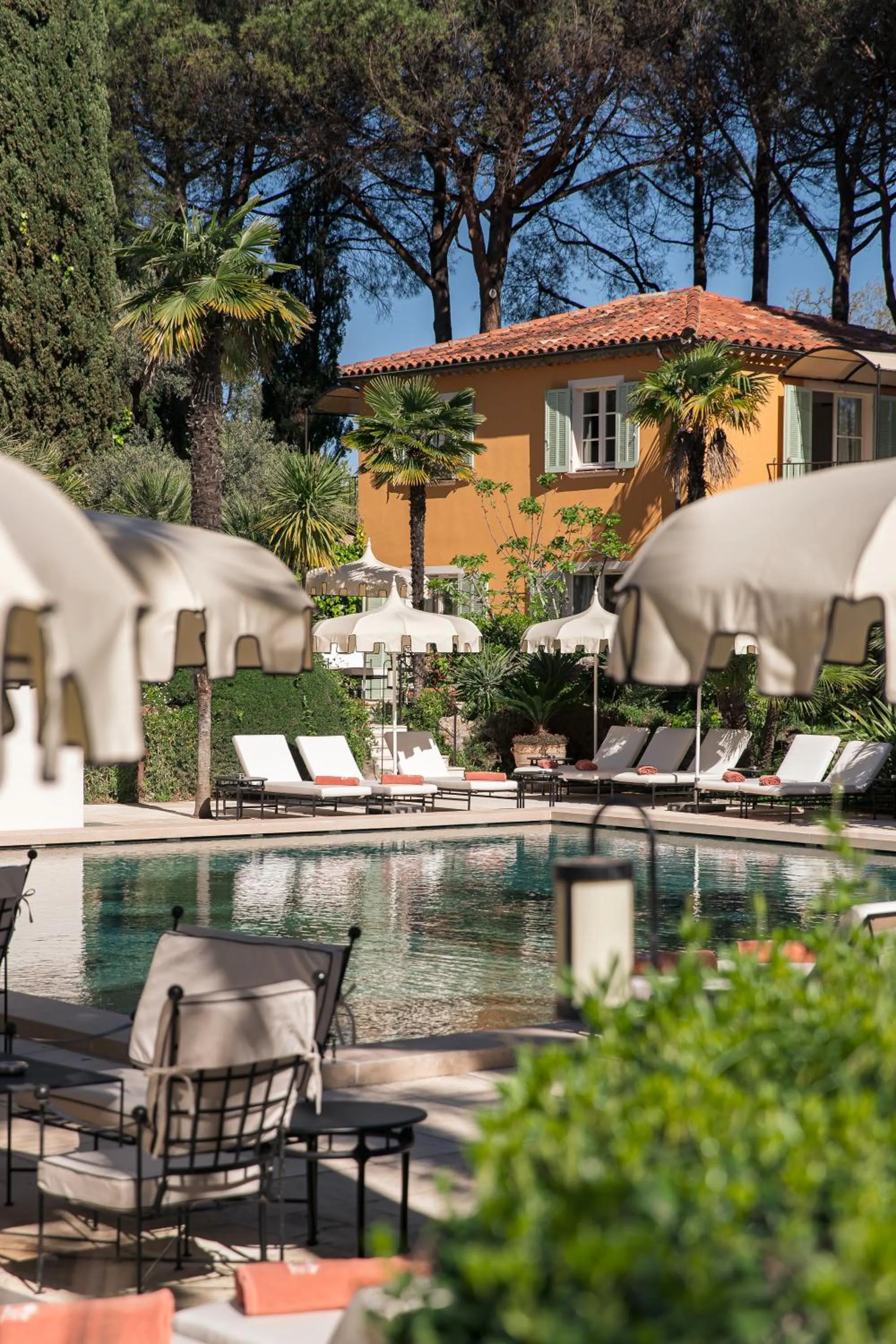 Swimming pool in La Bastide de Saint Tropez