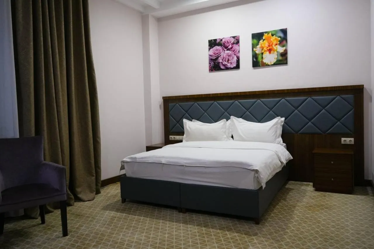 Deluxe Double Room - single occupancy in Hotel Arai Plaza