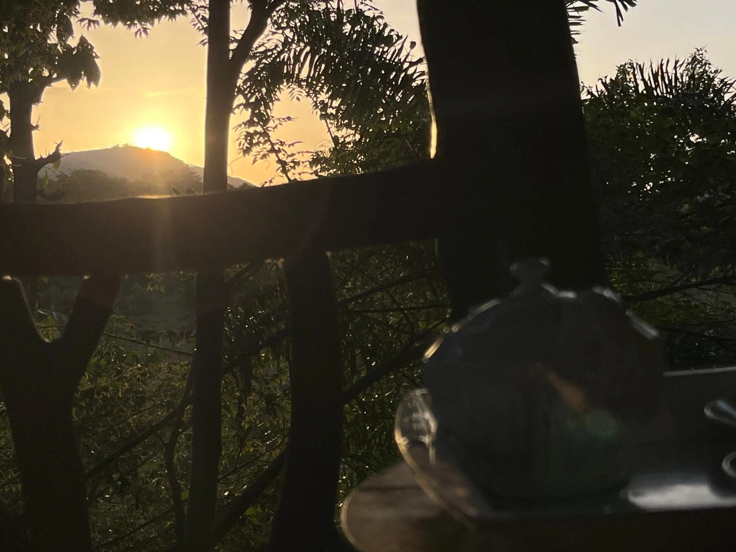 Sunrise in Sigiriya Rock Gate Resort