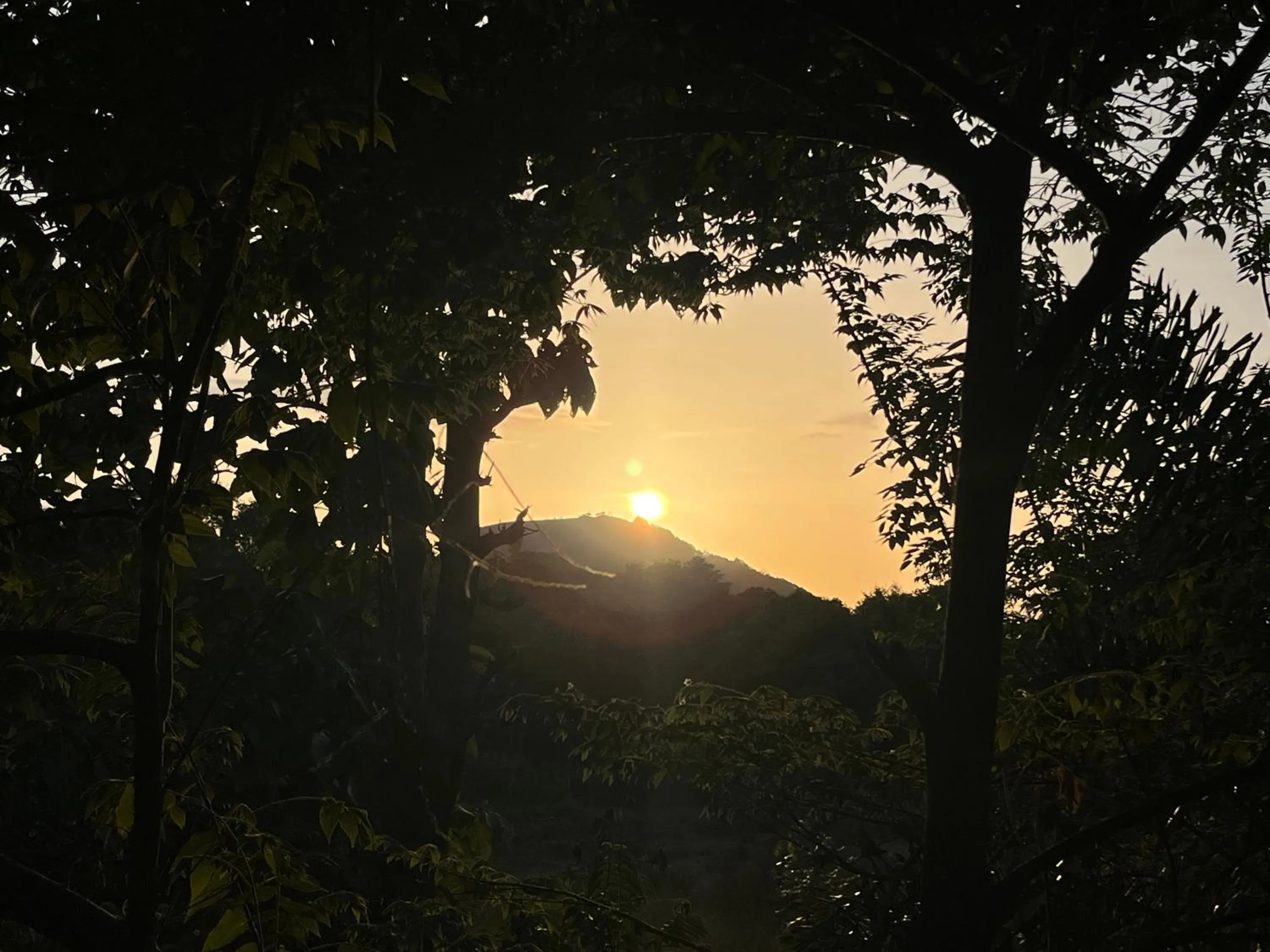 Sunrise in Sigiriya Rock Gate Resort