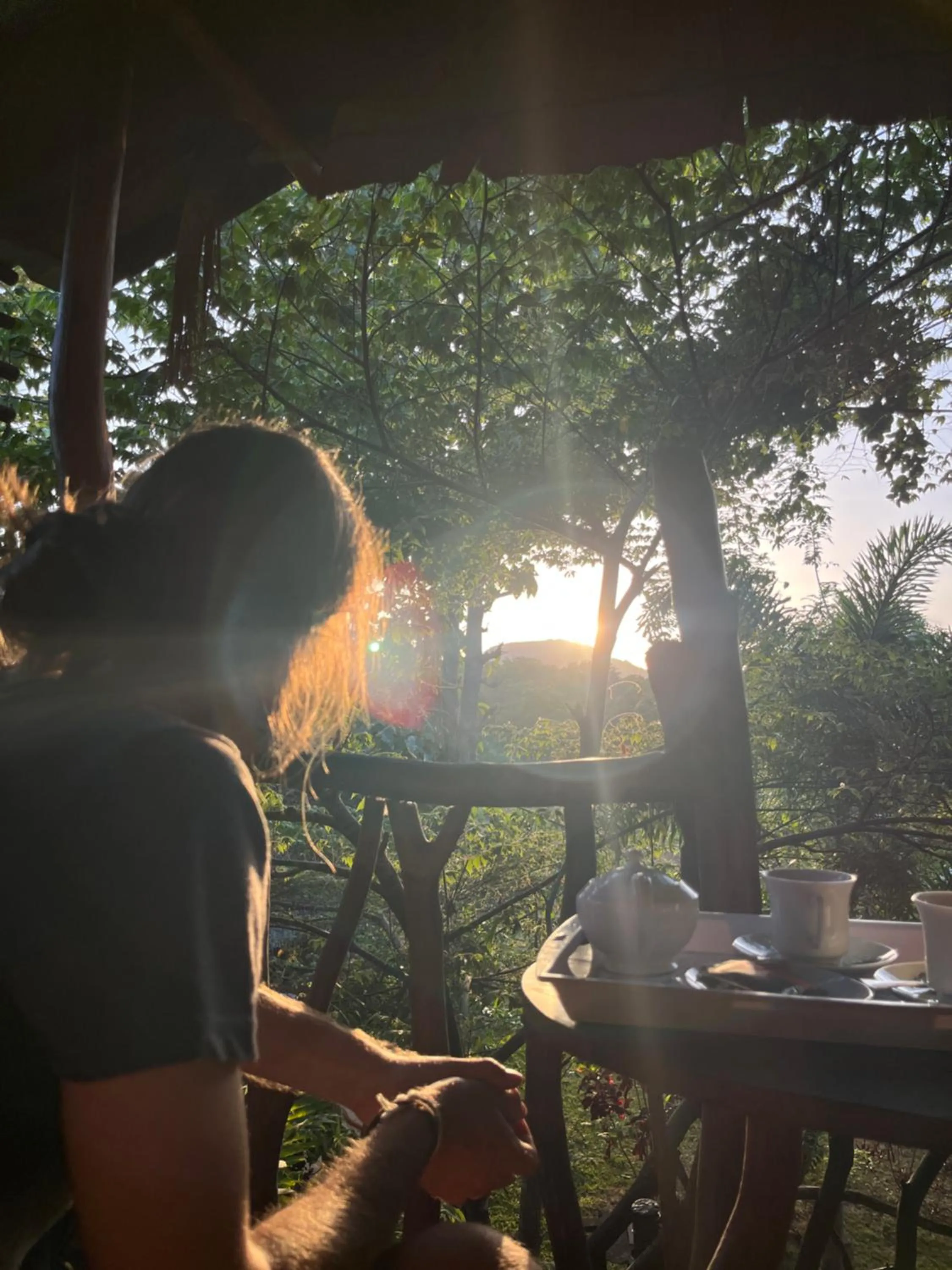 Natural landscape in Sigiriya Rock Gate Resort