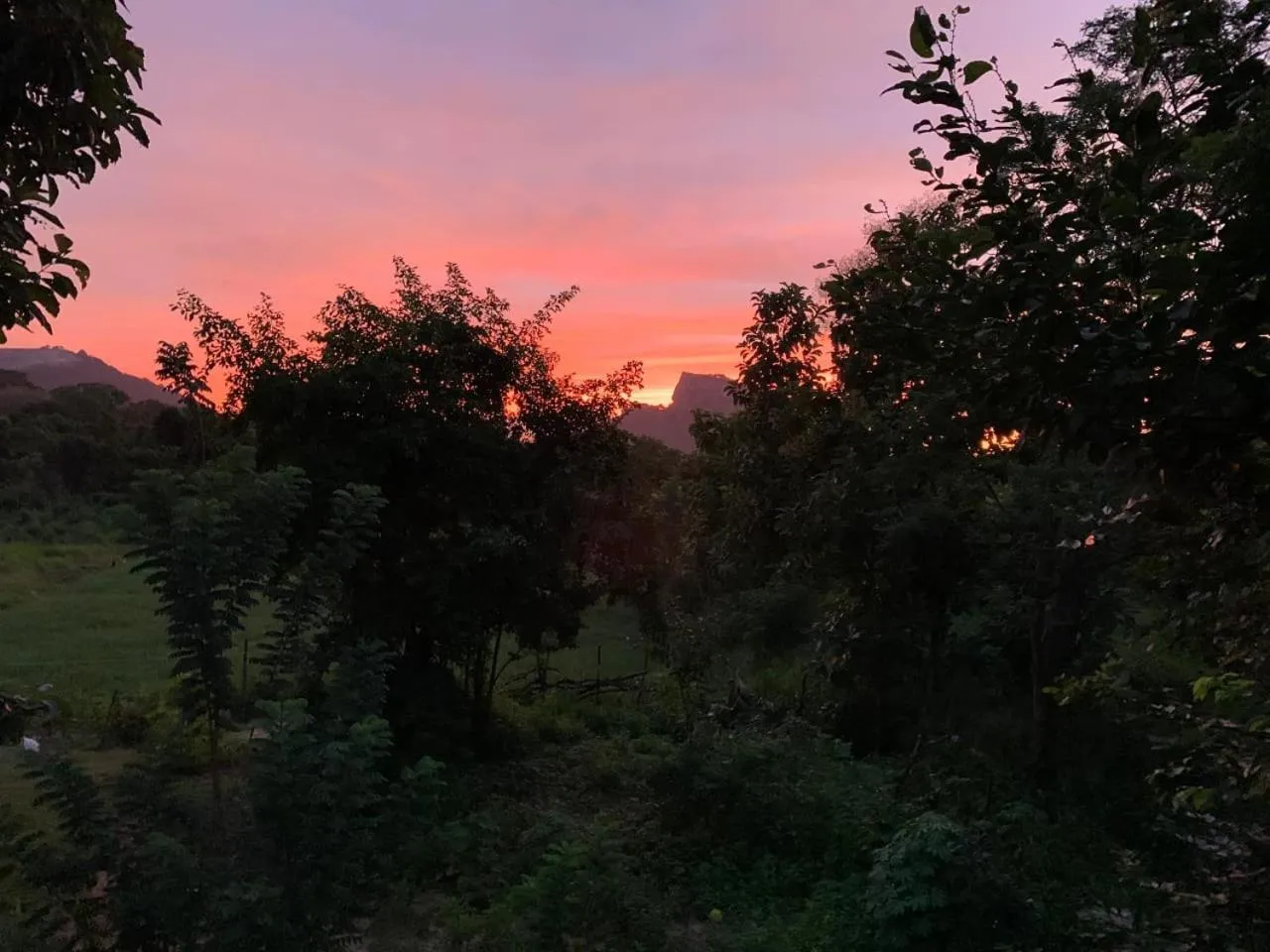 View (from property/room) in Sigiriya Rock Gate Resort