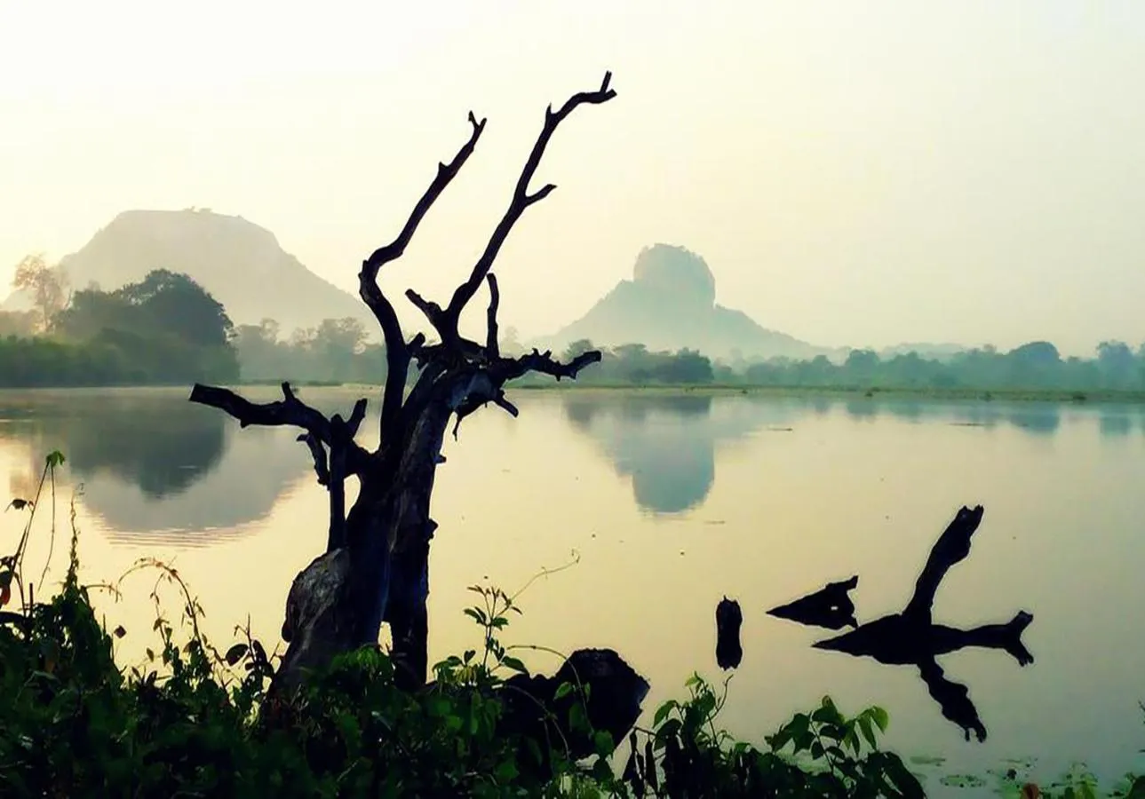 Natural landscape in Sigiriya Rock Gate Resort