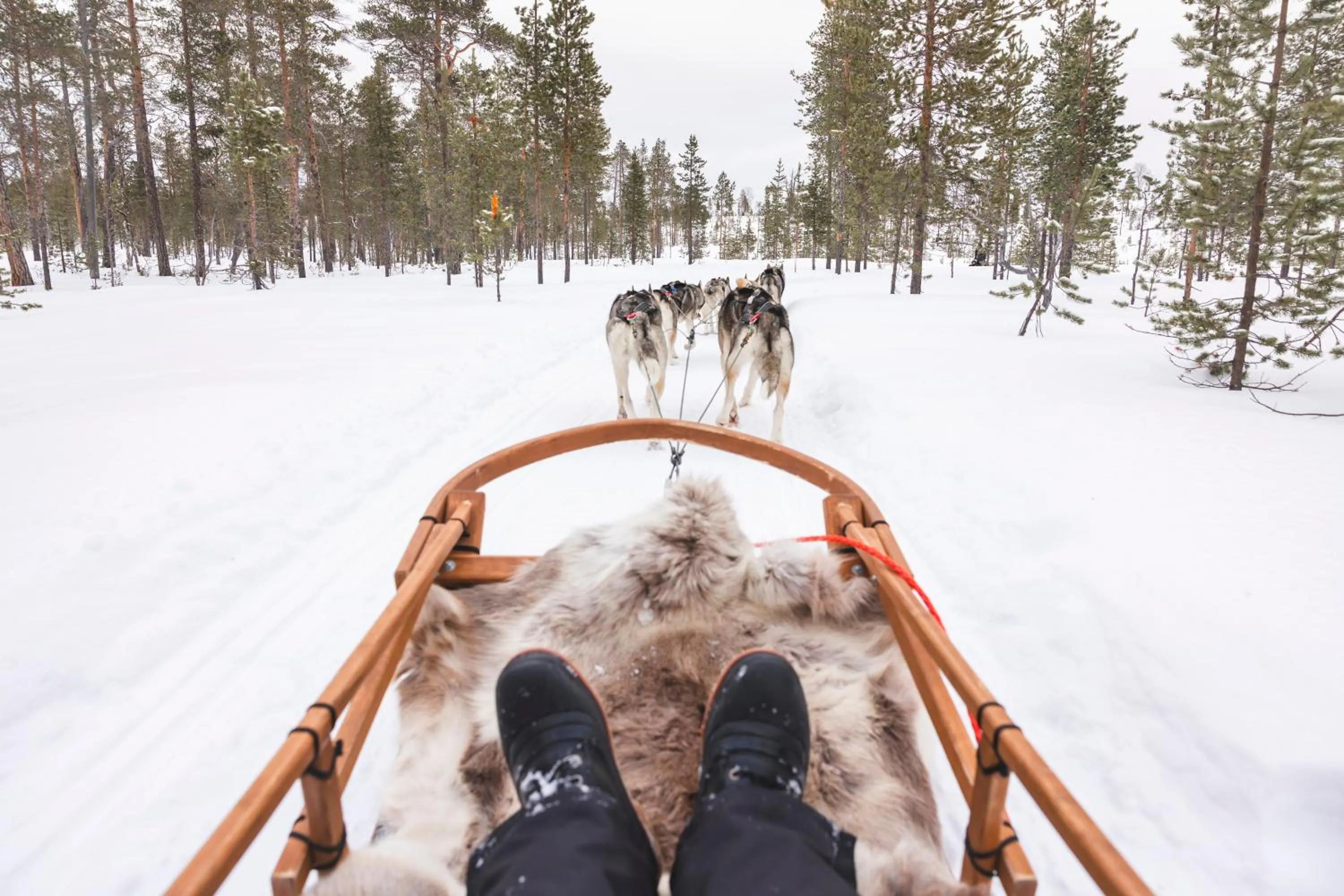 Natural landscape in Star Arctic Hotel & Activities