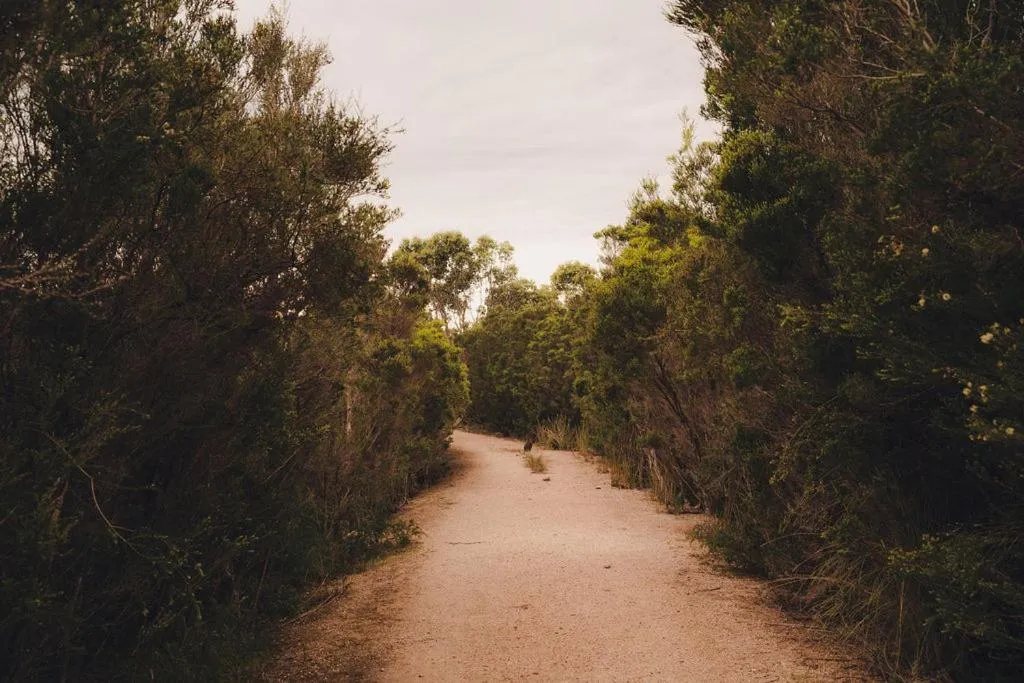 Natural landscape in Scamander Sanctuary Holiday Park
