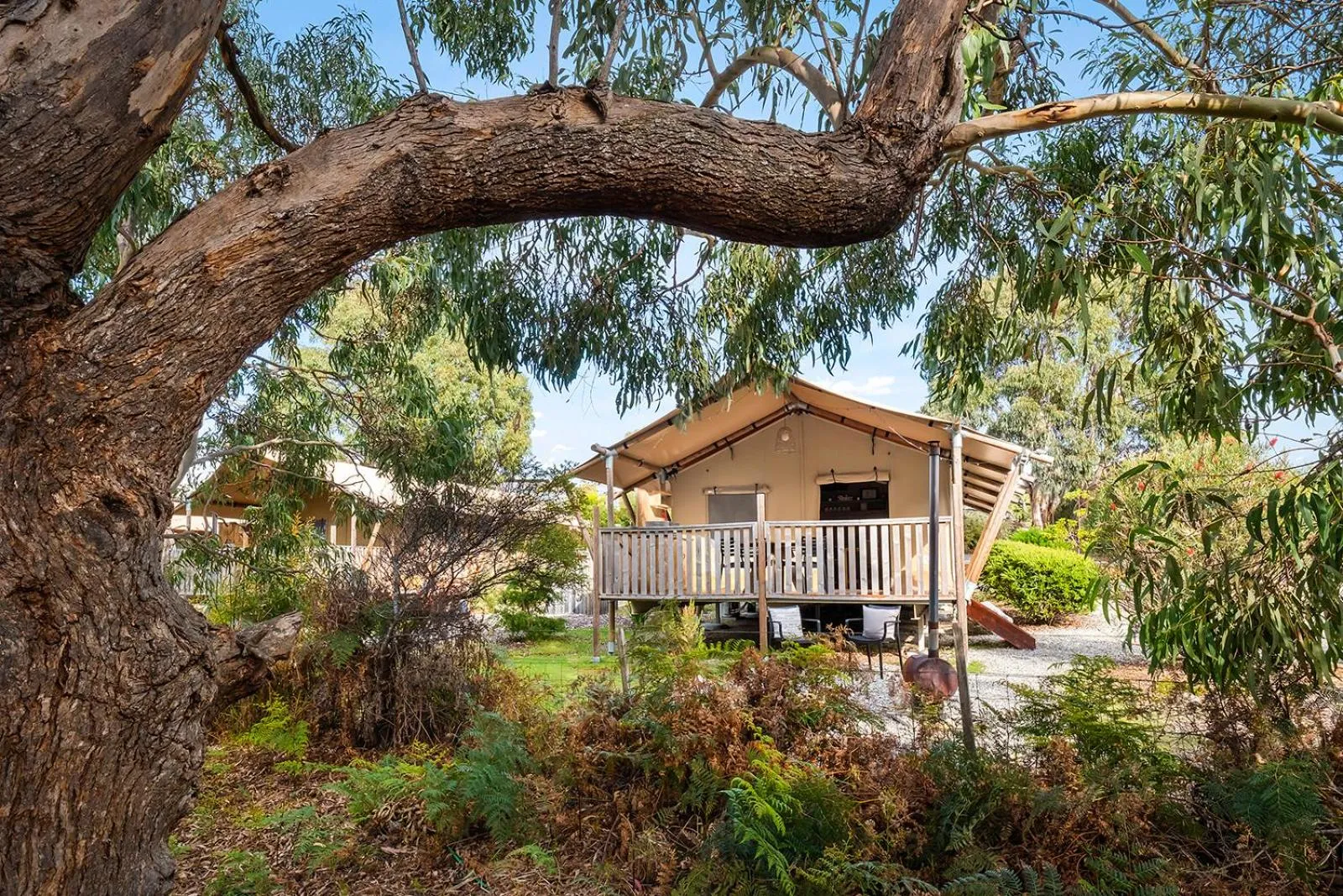 Day in Scamander Sanctuary Holiday Park