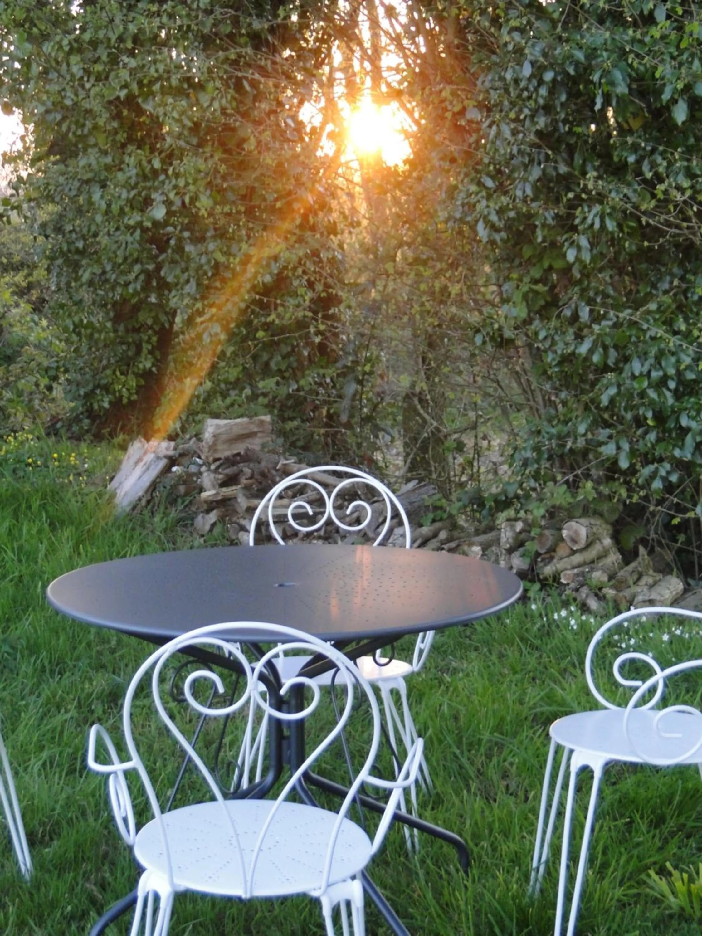 Garden in Gites de la Motte Parent