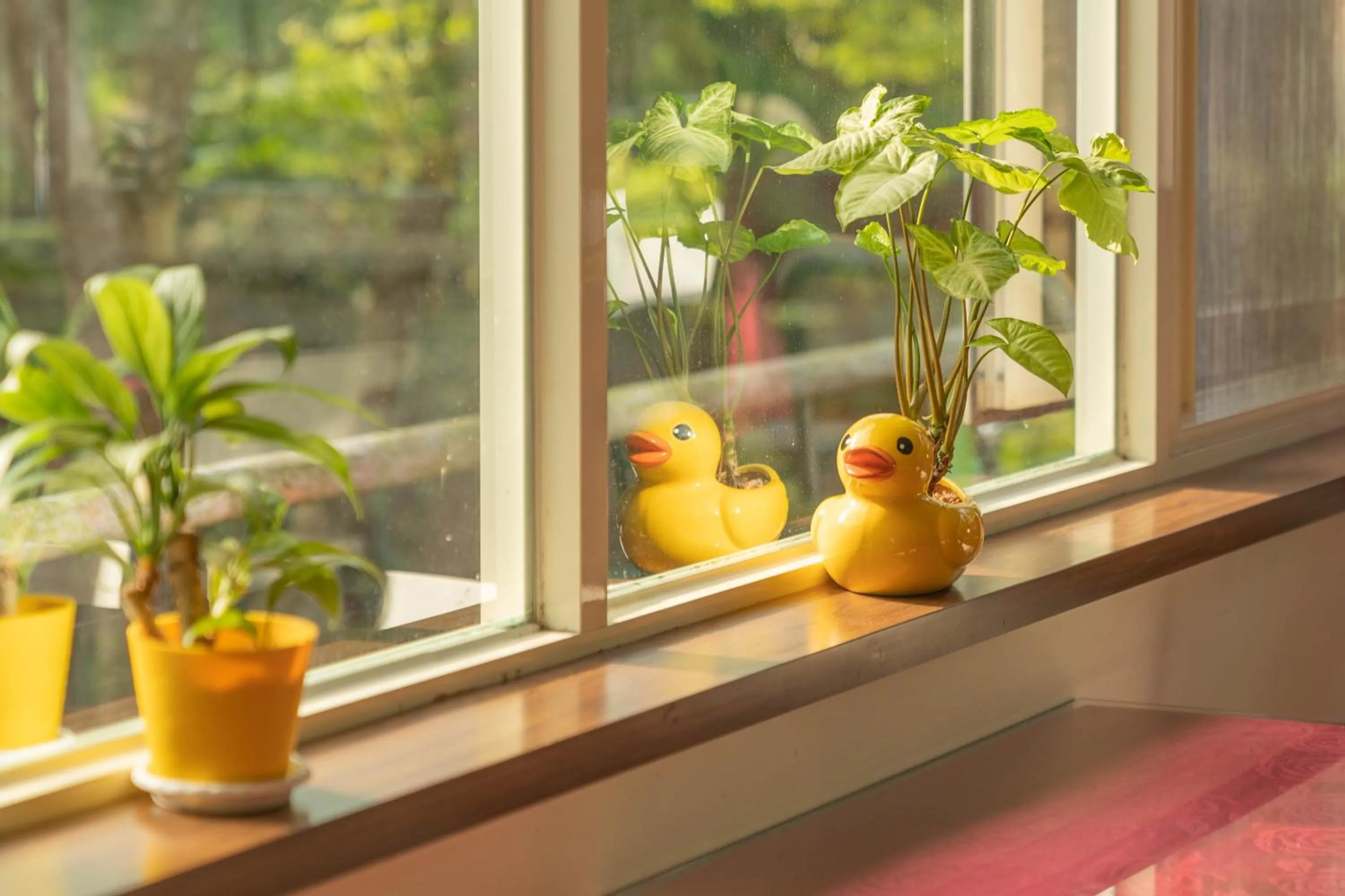 Restaurant/places to eat in Regale Motel