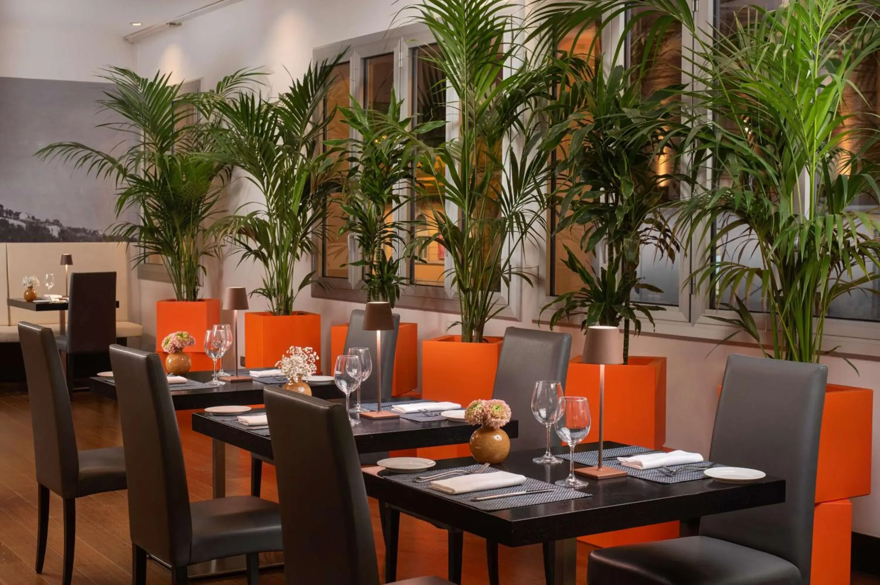 Restaurant/places to eat in NH Trieste Restaurant/places to eat in NH Trieste