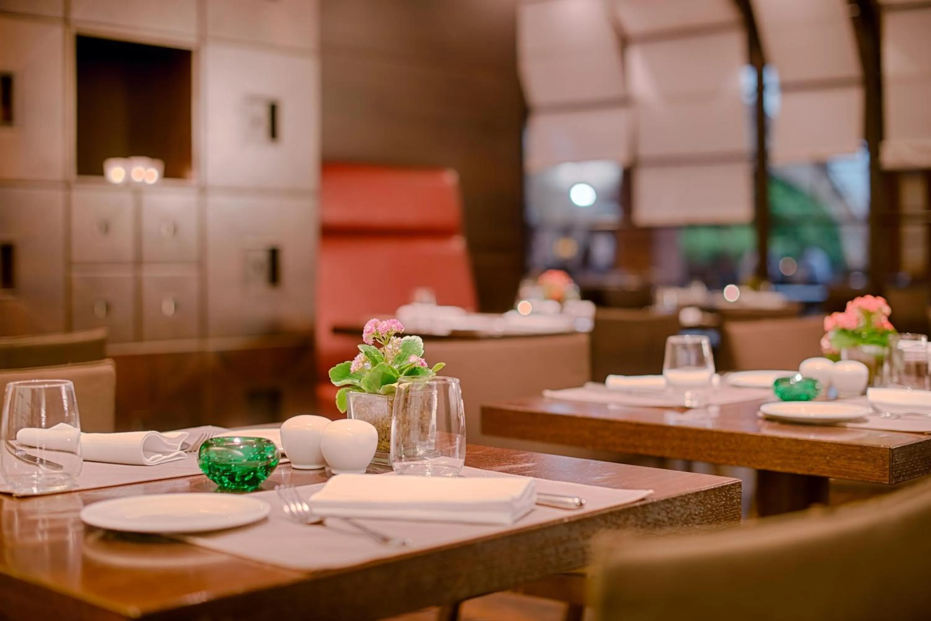 Restaurant/places to eat in NH Milano 2