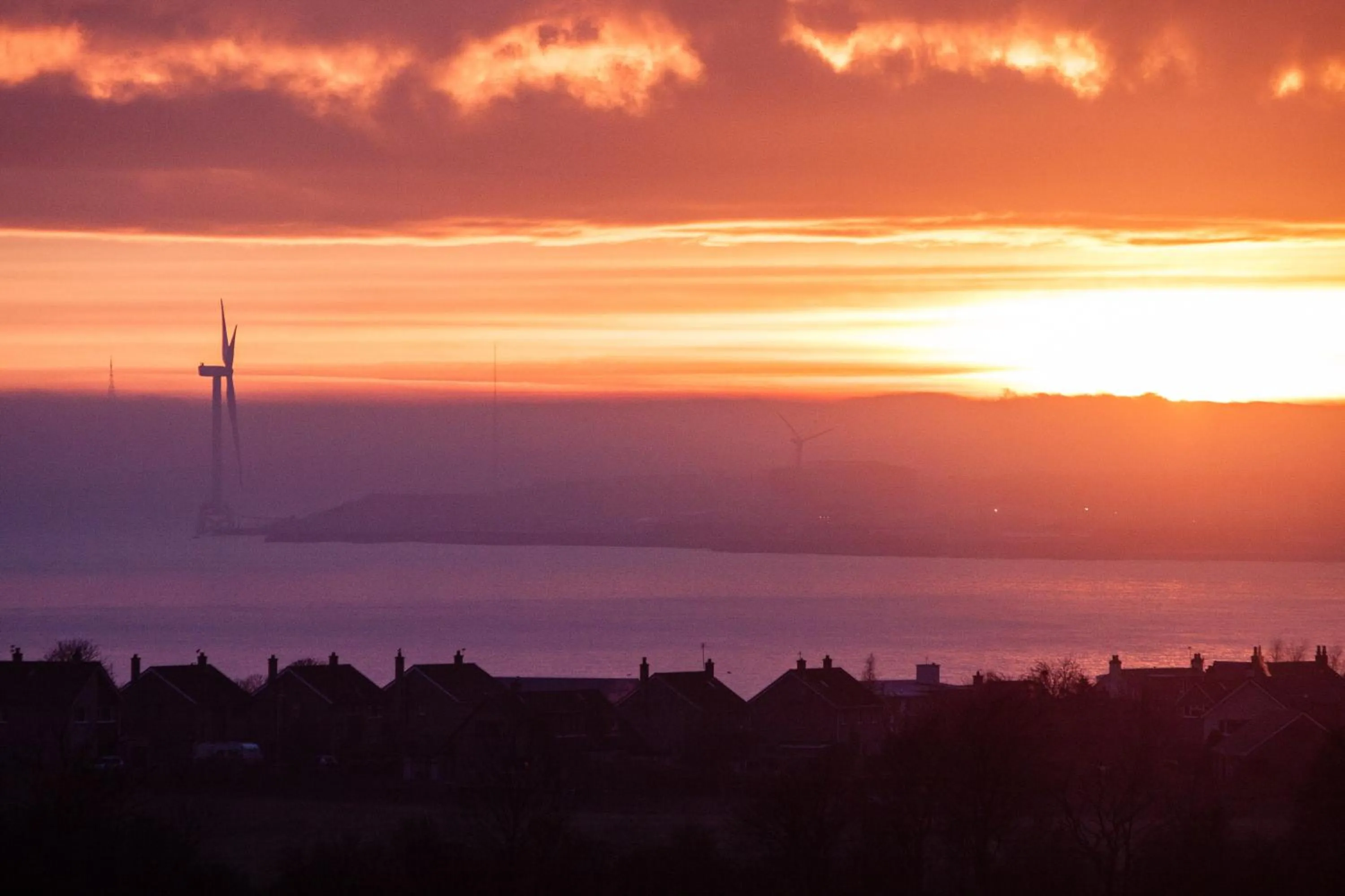 Neighbourhood in Buckthorns House