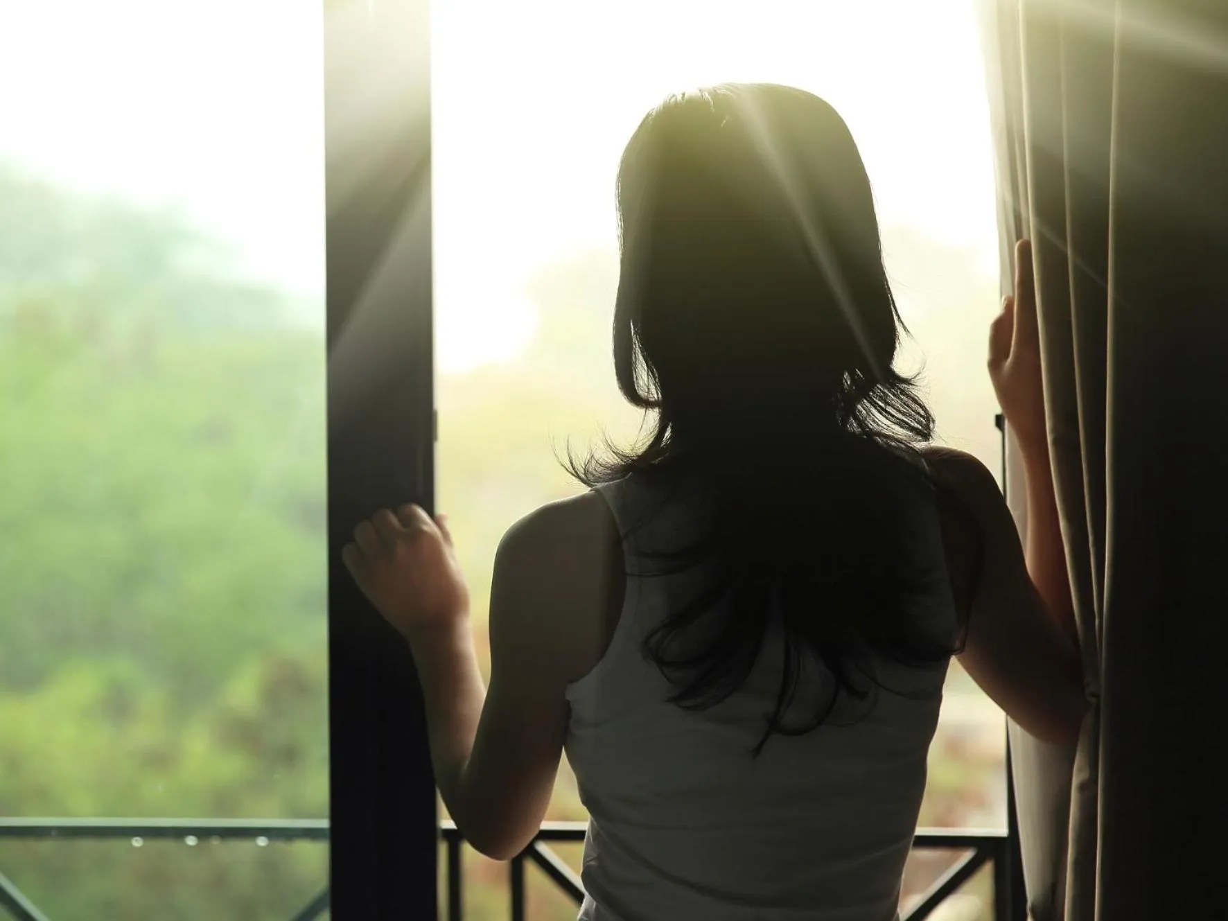 Other in The Cedar Suite