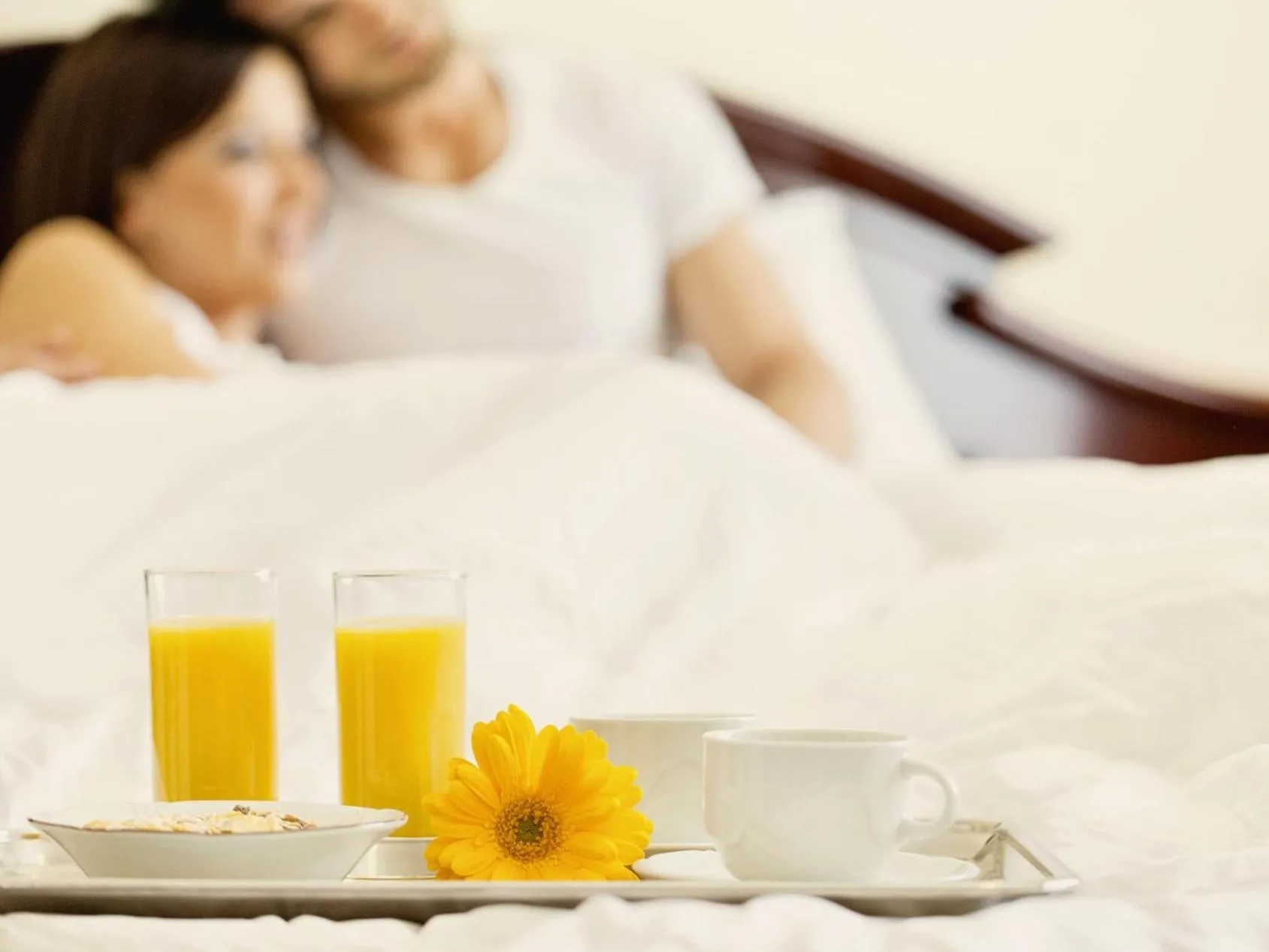 Other in The Cedar Suite