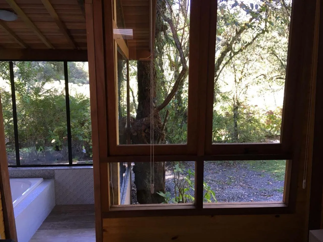 Garden view in Resort Magnifico