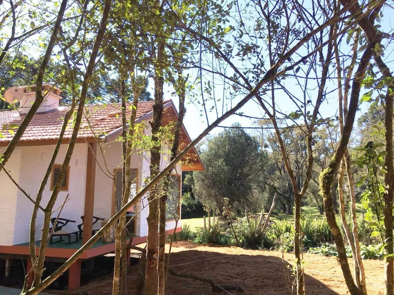 Garden view in Resort Magnifico