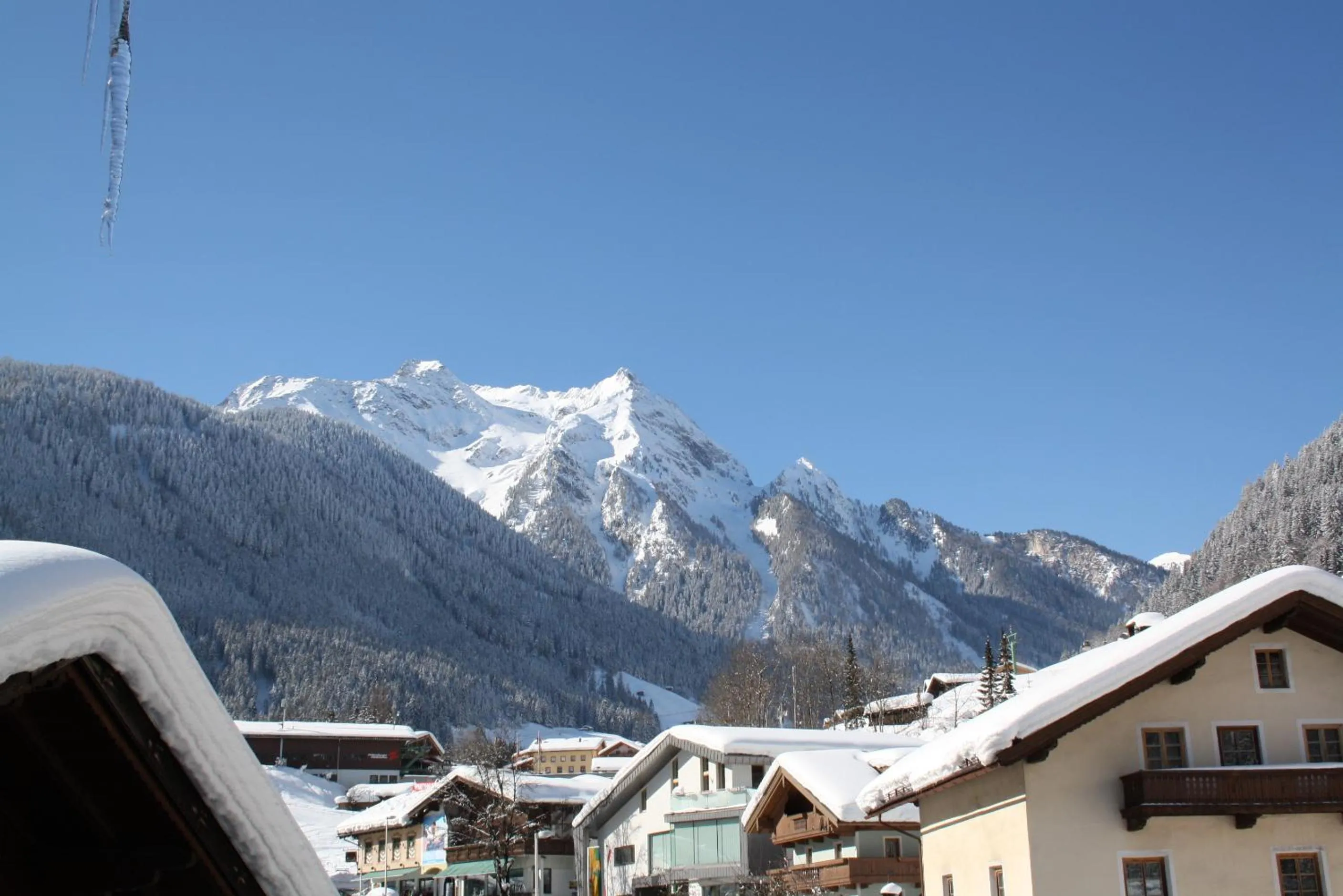 Area and facilities in Hotel Neuwirt