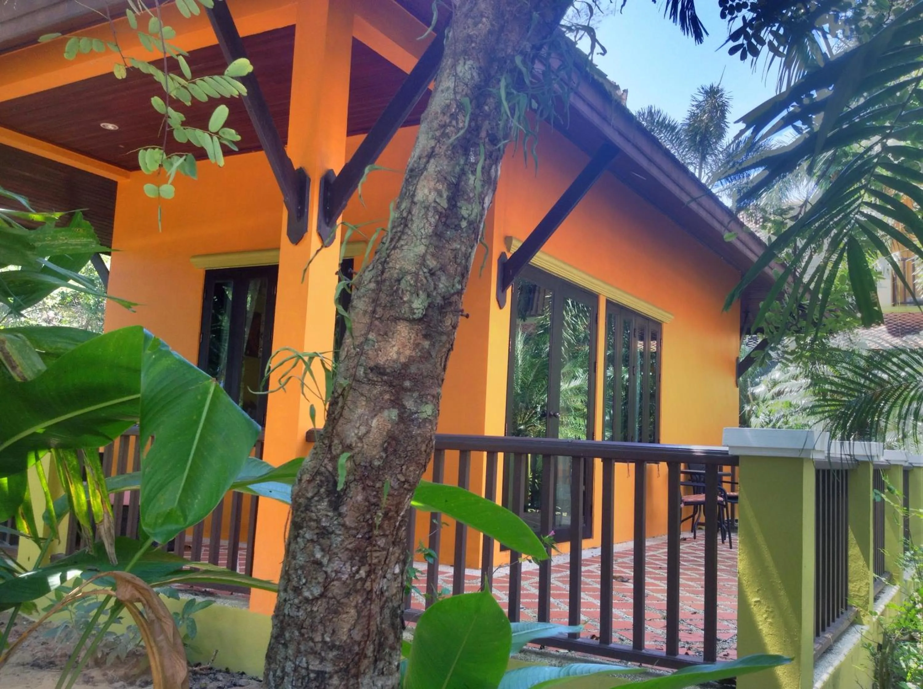 Garden in Villa Chaya