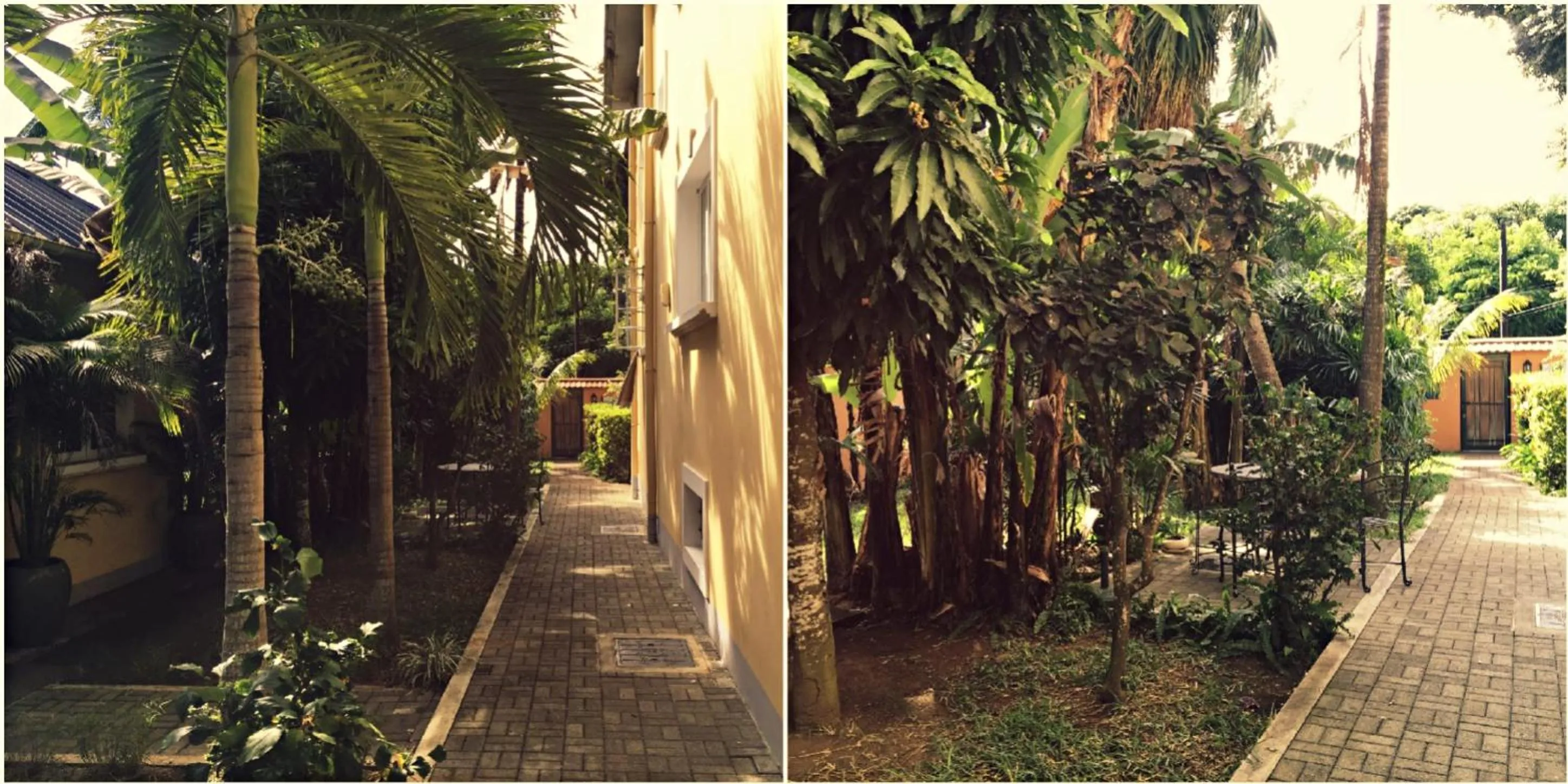 Garden in Maison D’hôtes Coignet