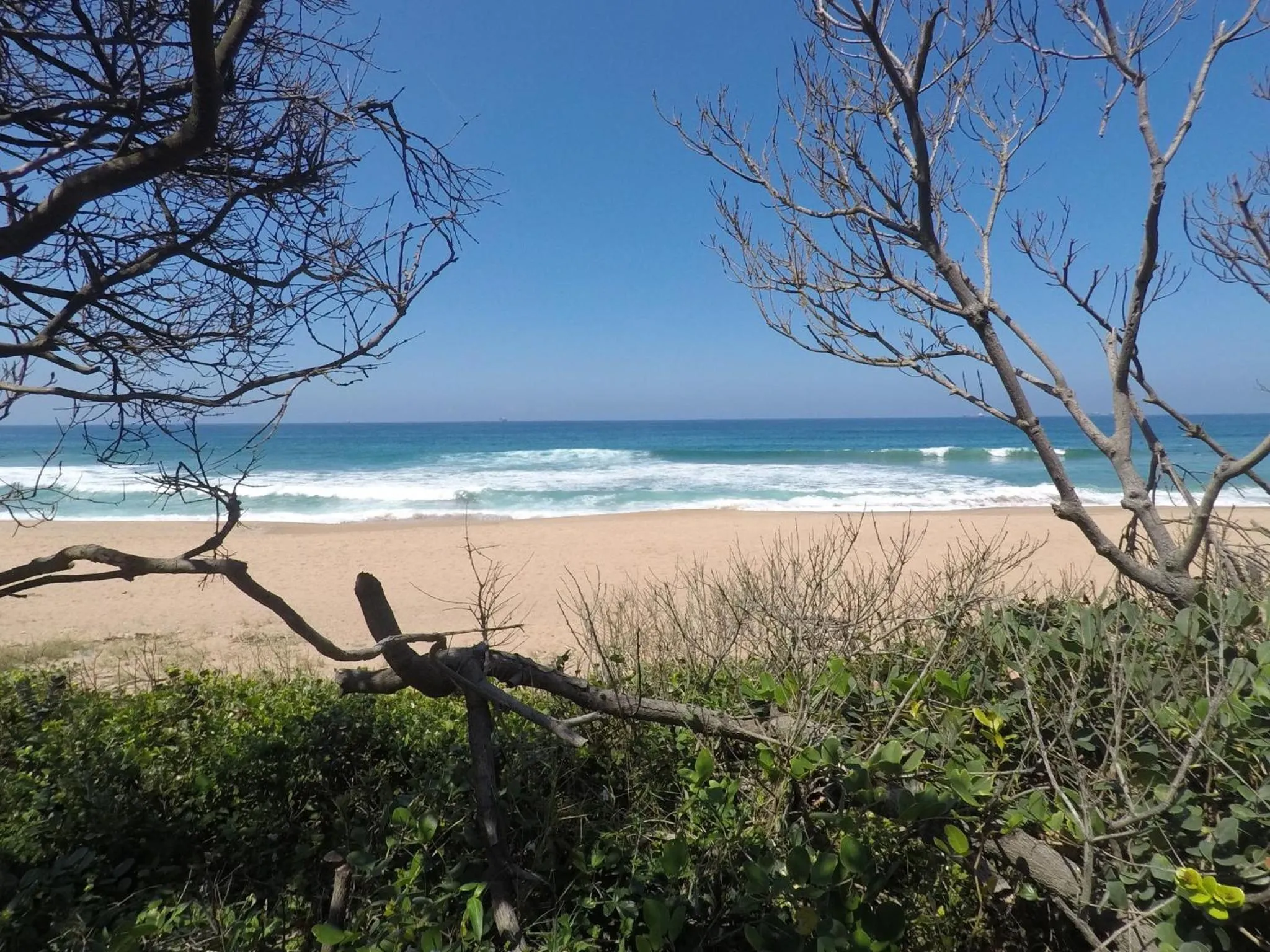 Beach in Surf Motel