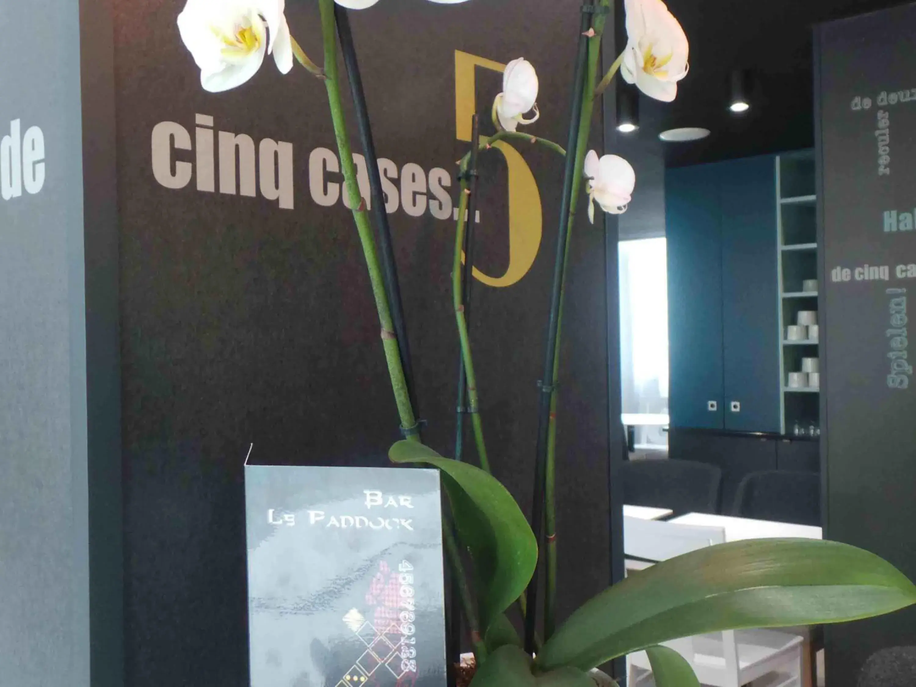 Lounge or bar in ibis Styles Deauville Centre Lounge or bar in ibis Styles Deauville Centre