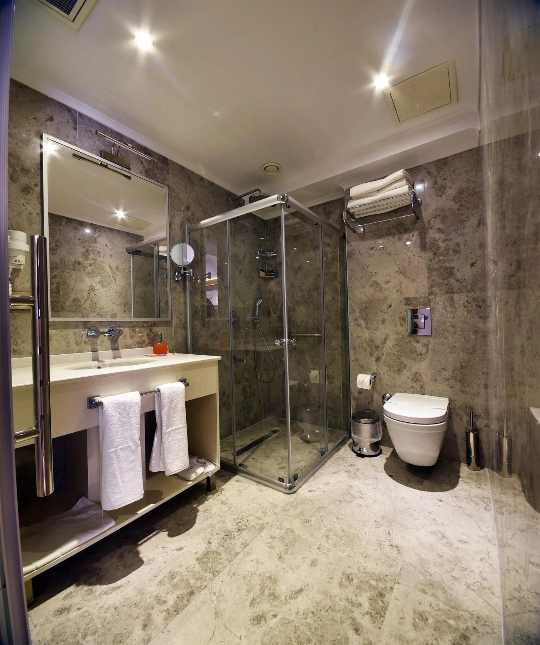 Toilet in The Elegant Hotel