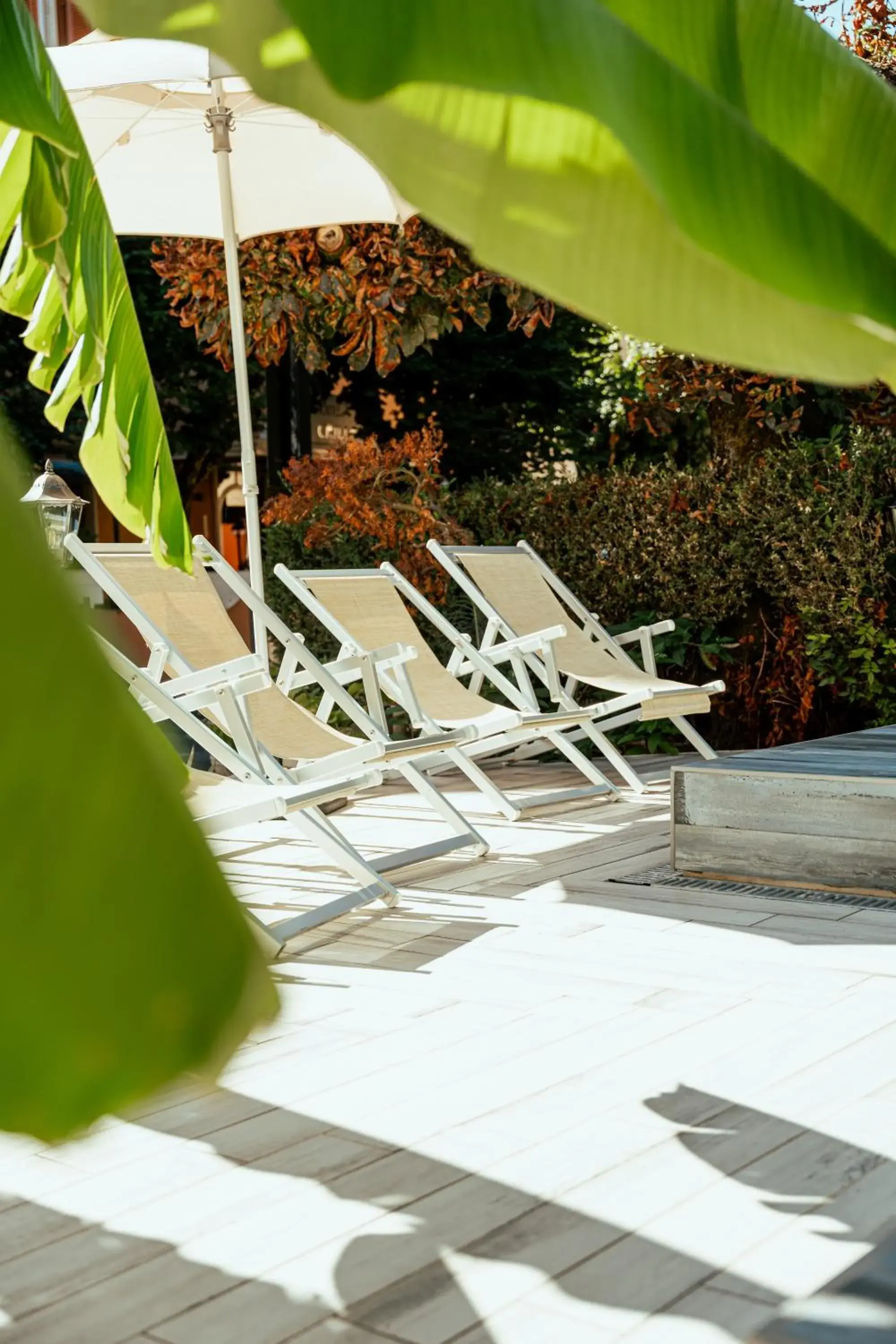 Swimming pool in Hotel Belsito Wellness & Spa Swimming pool in Hotel Belsito Wellness & Spa