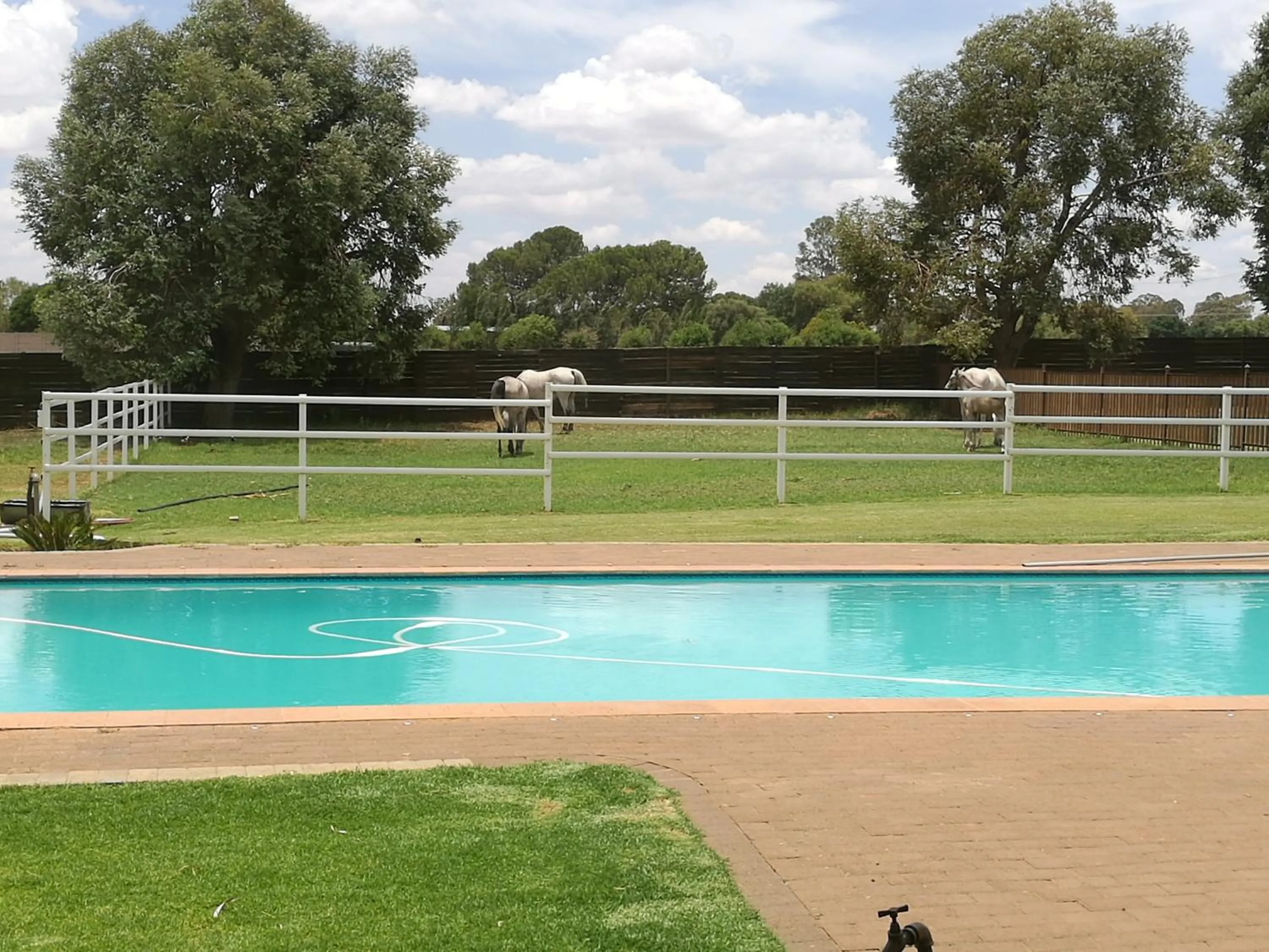 Swimming pool in Krige Lodge B&B