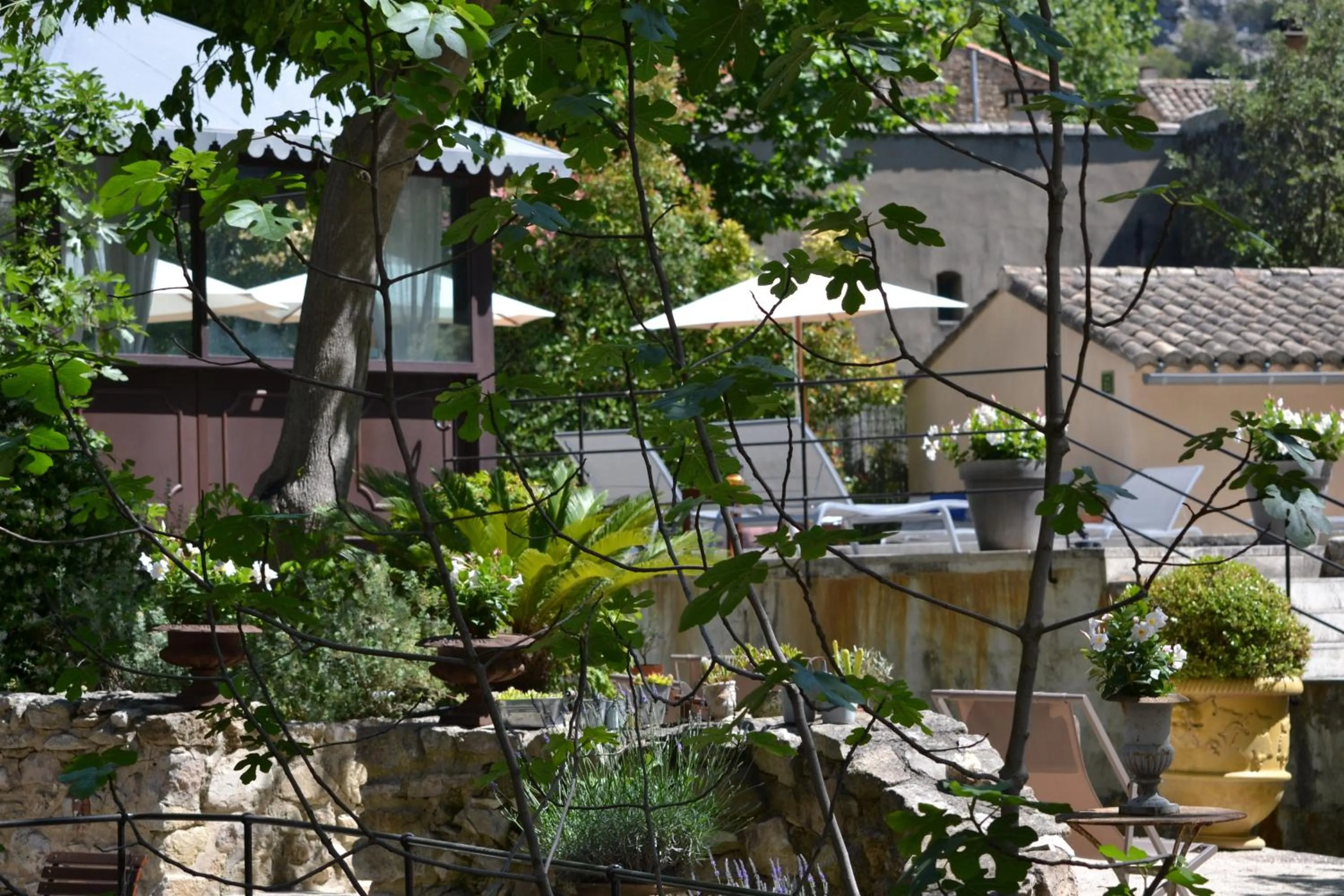 Garden in Hotel du Poète