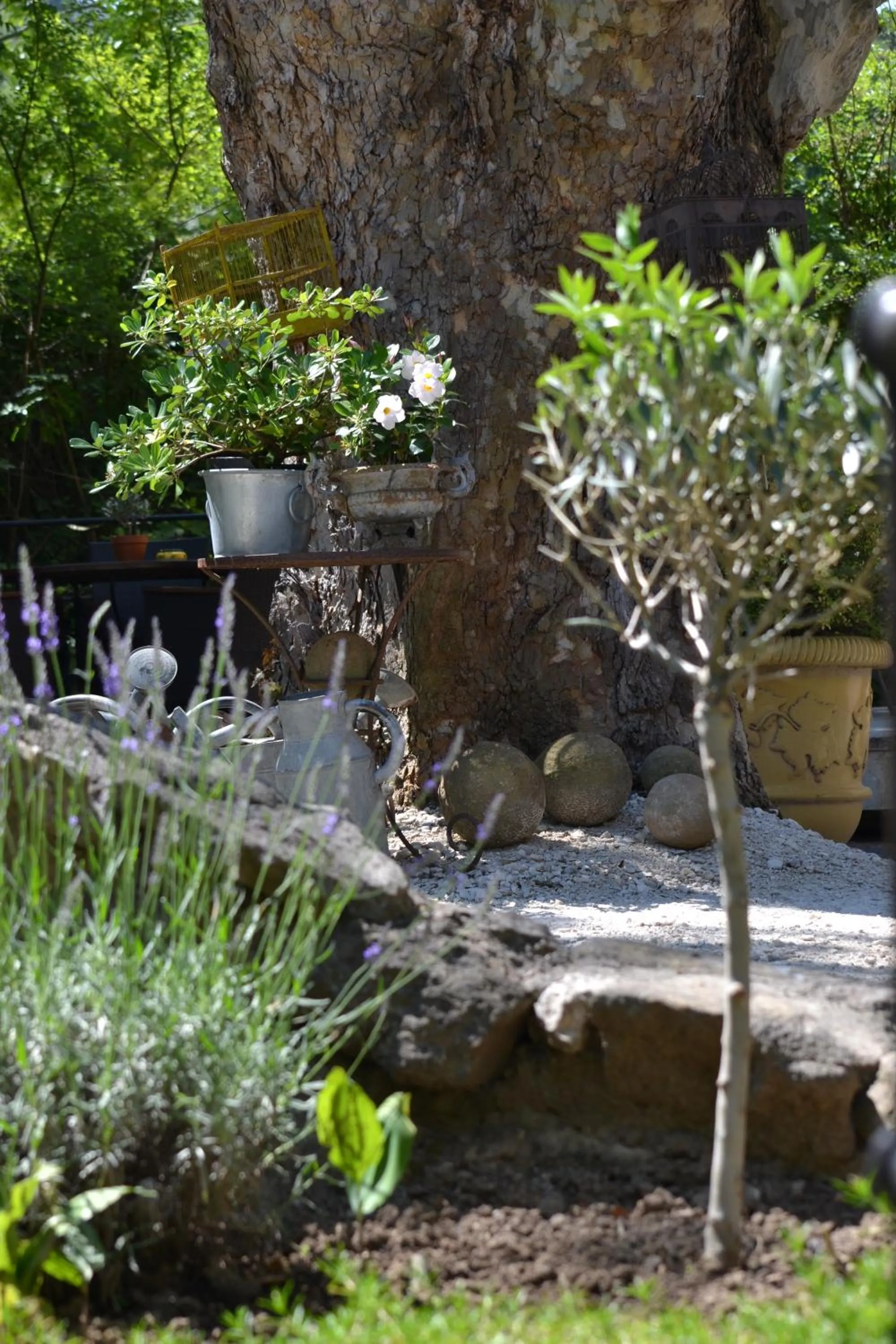 Garden in Hotel du Poète