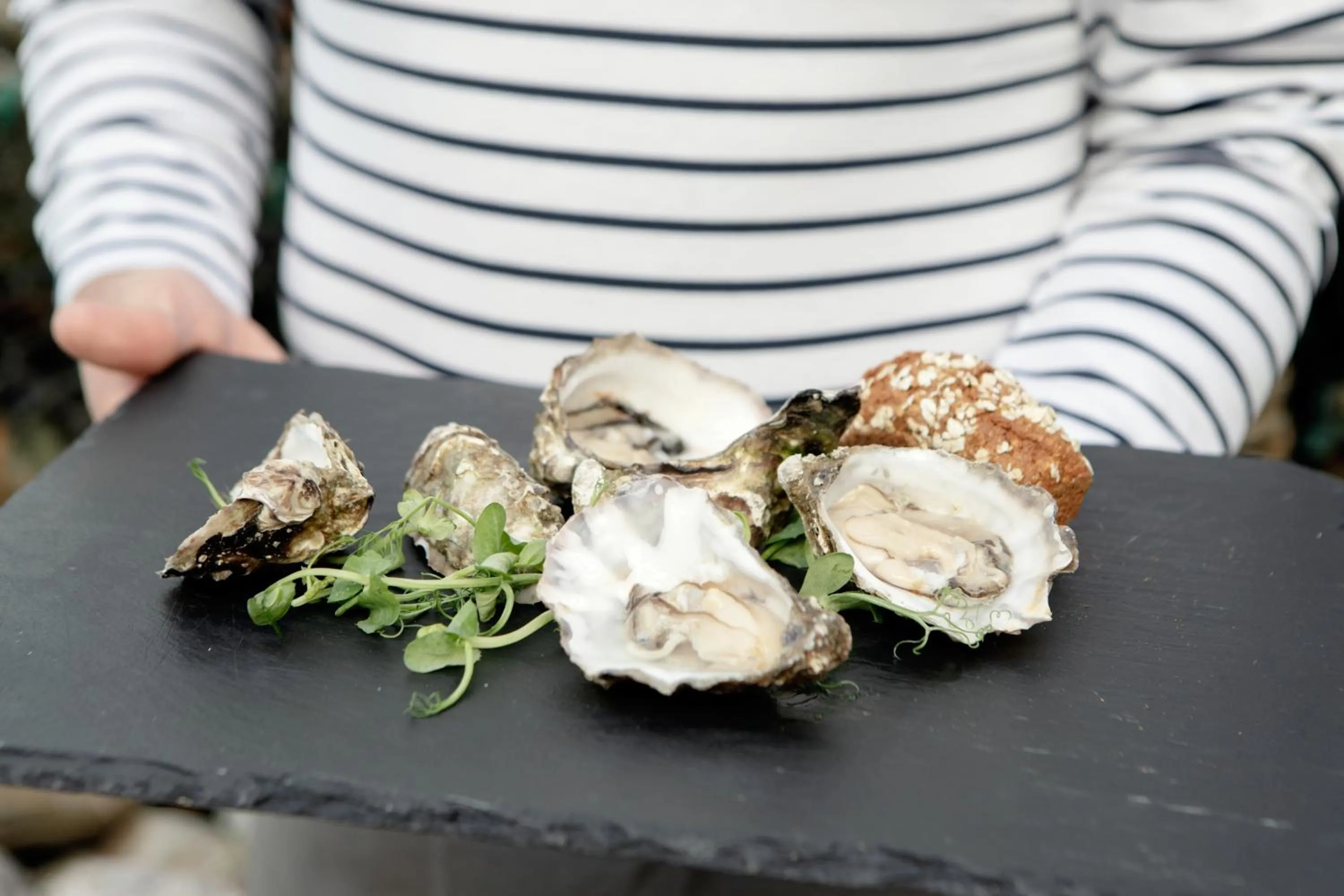 Food and drinks in Armada Hotel