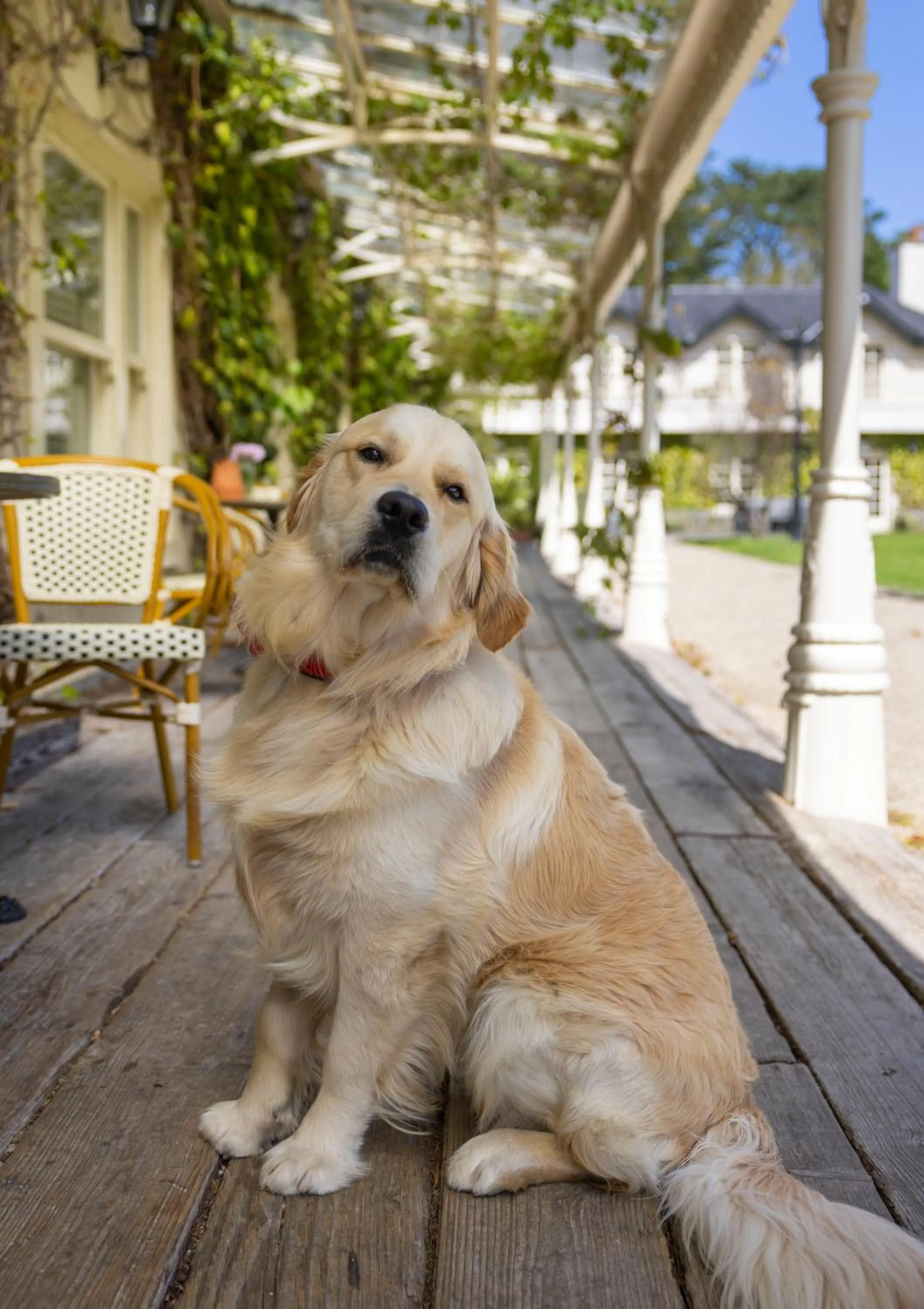 BrookLodge & Macreddin Village