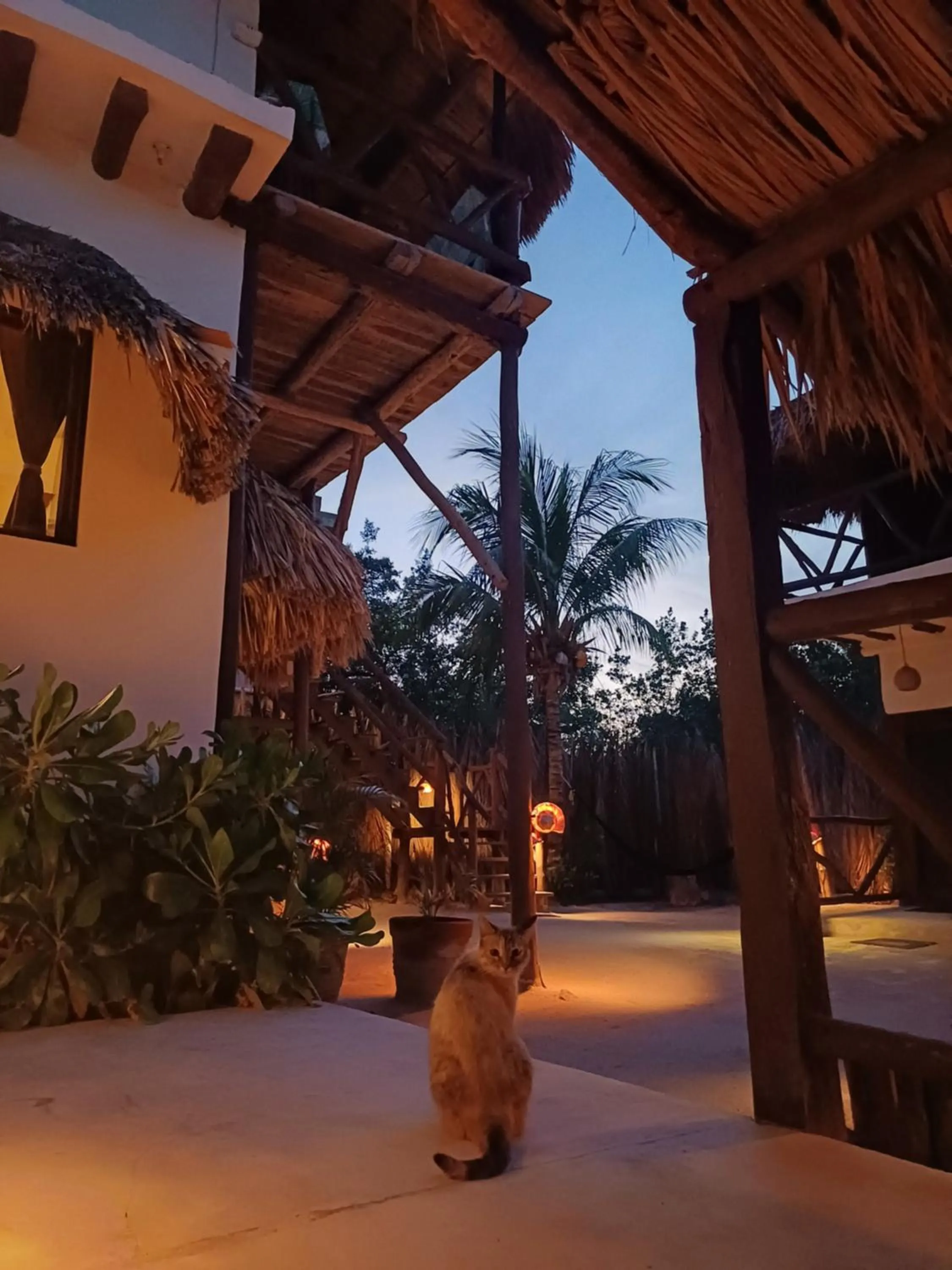 Night in Casa Sofia Holbox