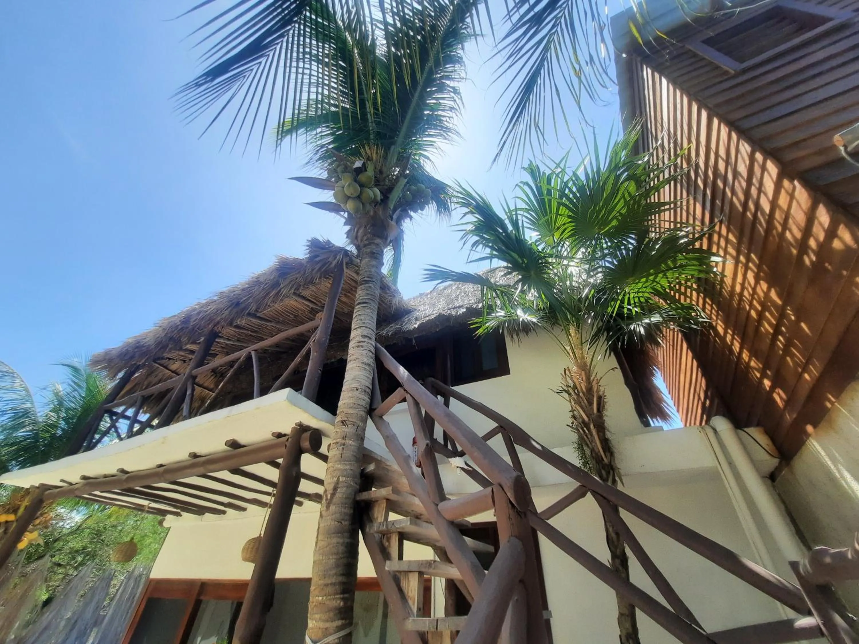 Property building in Casa Sofia Holbox