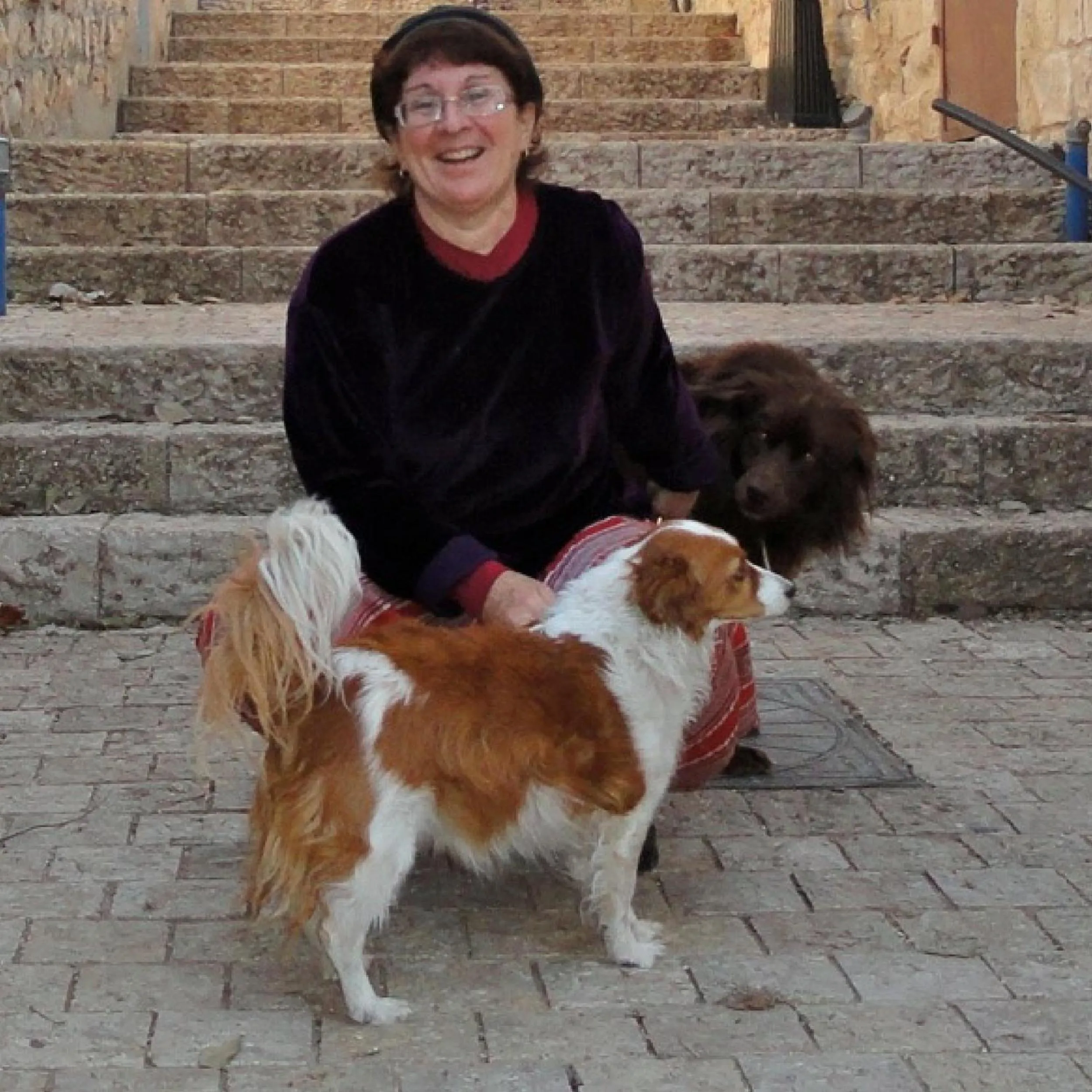 Pets in Myrtle the Turtle Guesthouse