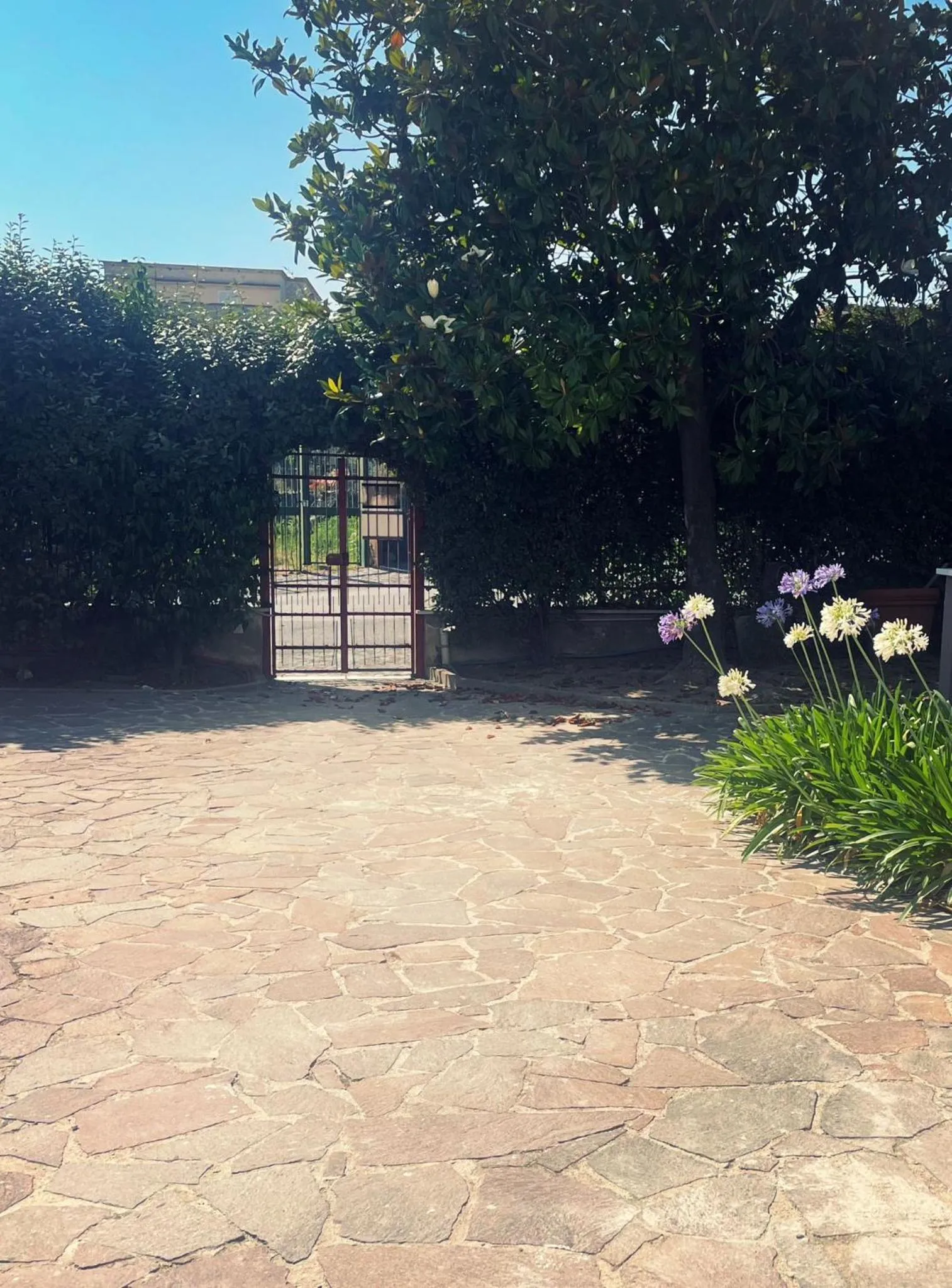 La Ginestra