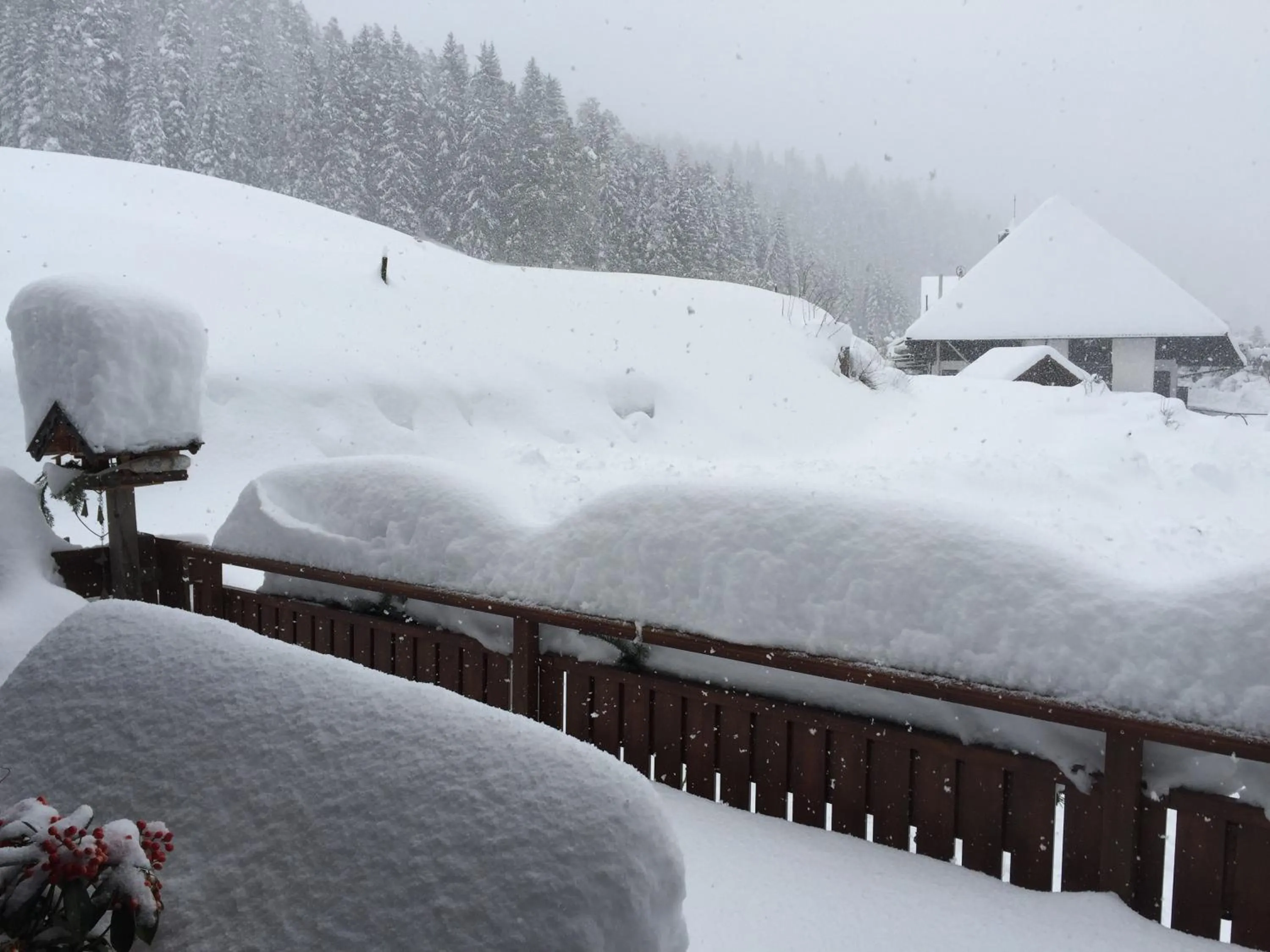 View (from property/room) in Café - Pension Bernreutehof