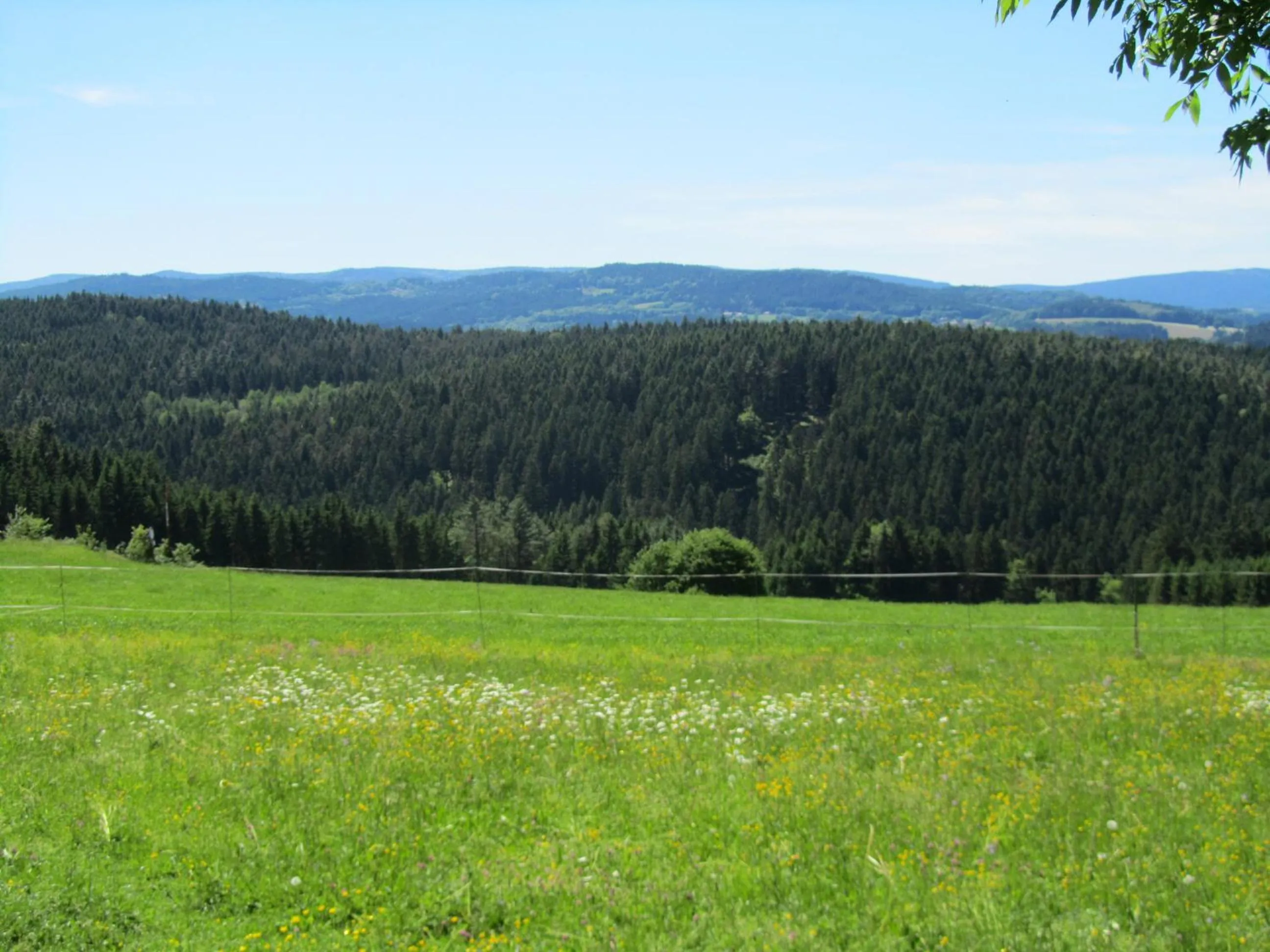 Natural landscape in Ferienhaus Zopfhäusl